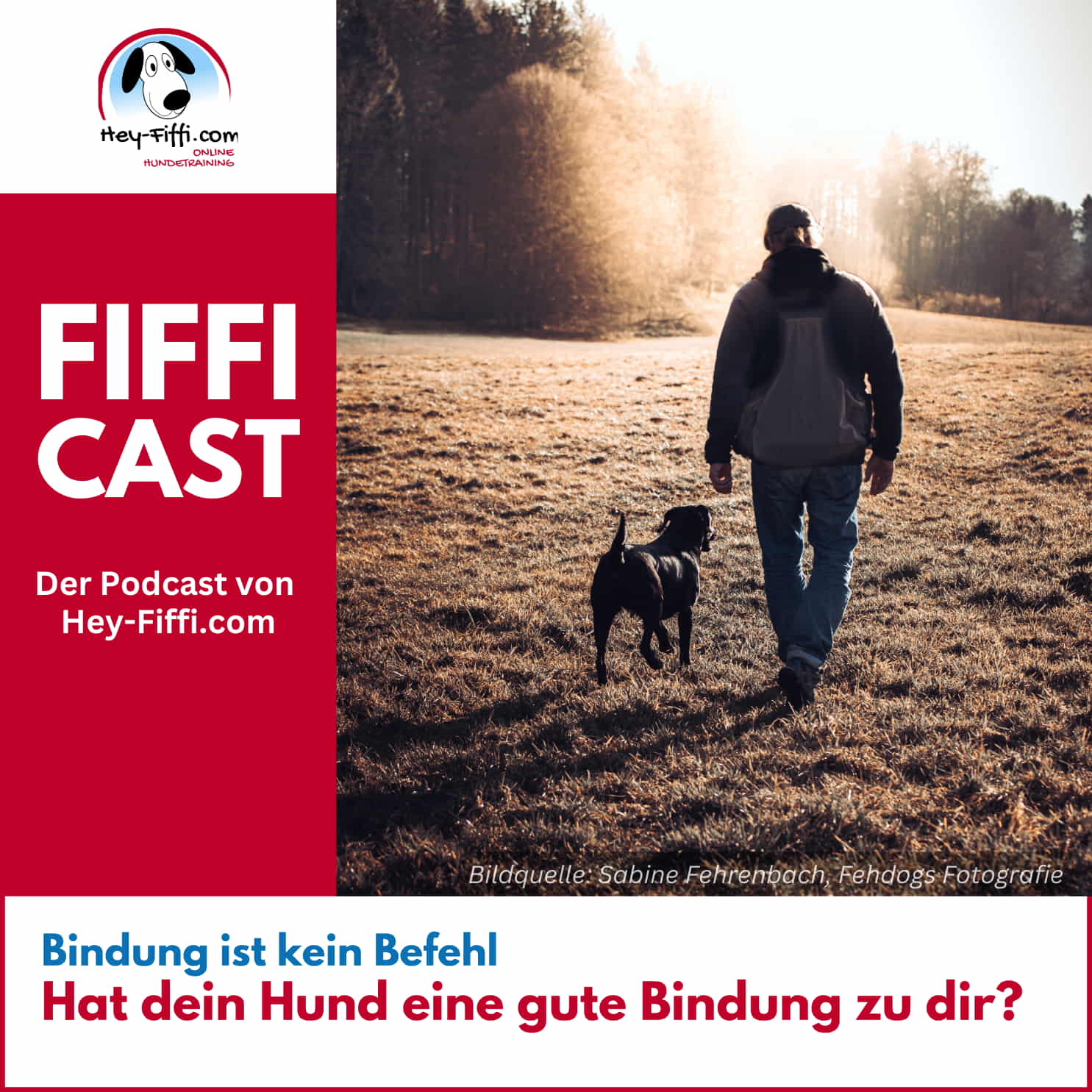 Bindung ist kein Befehl - Hat dein Hund eine gute Bindung zu dir? Bindung ist kein Befehl - Hat dein Hund eine gute Bindung zu dir?
