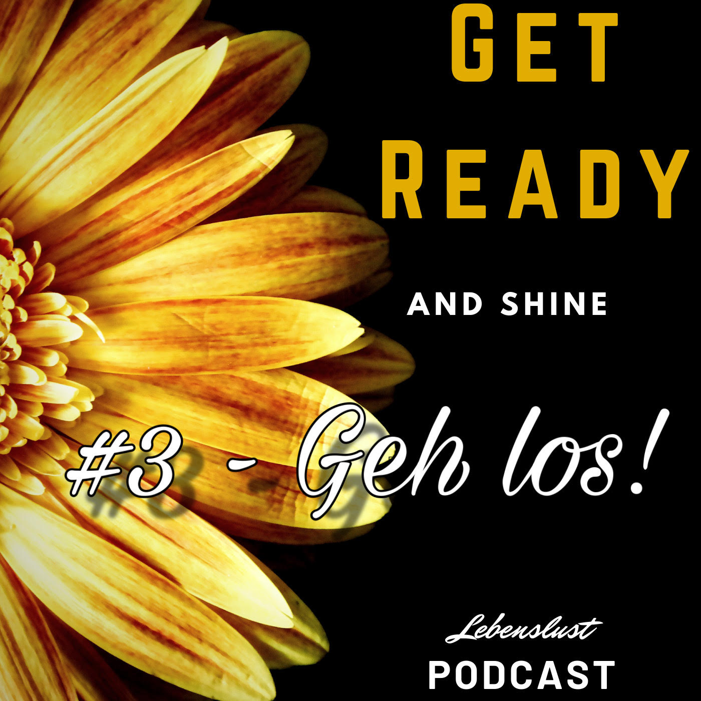 #3 - Geh los! episode artwork