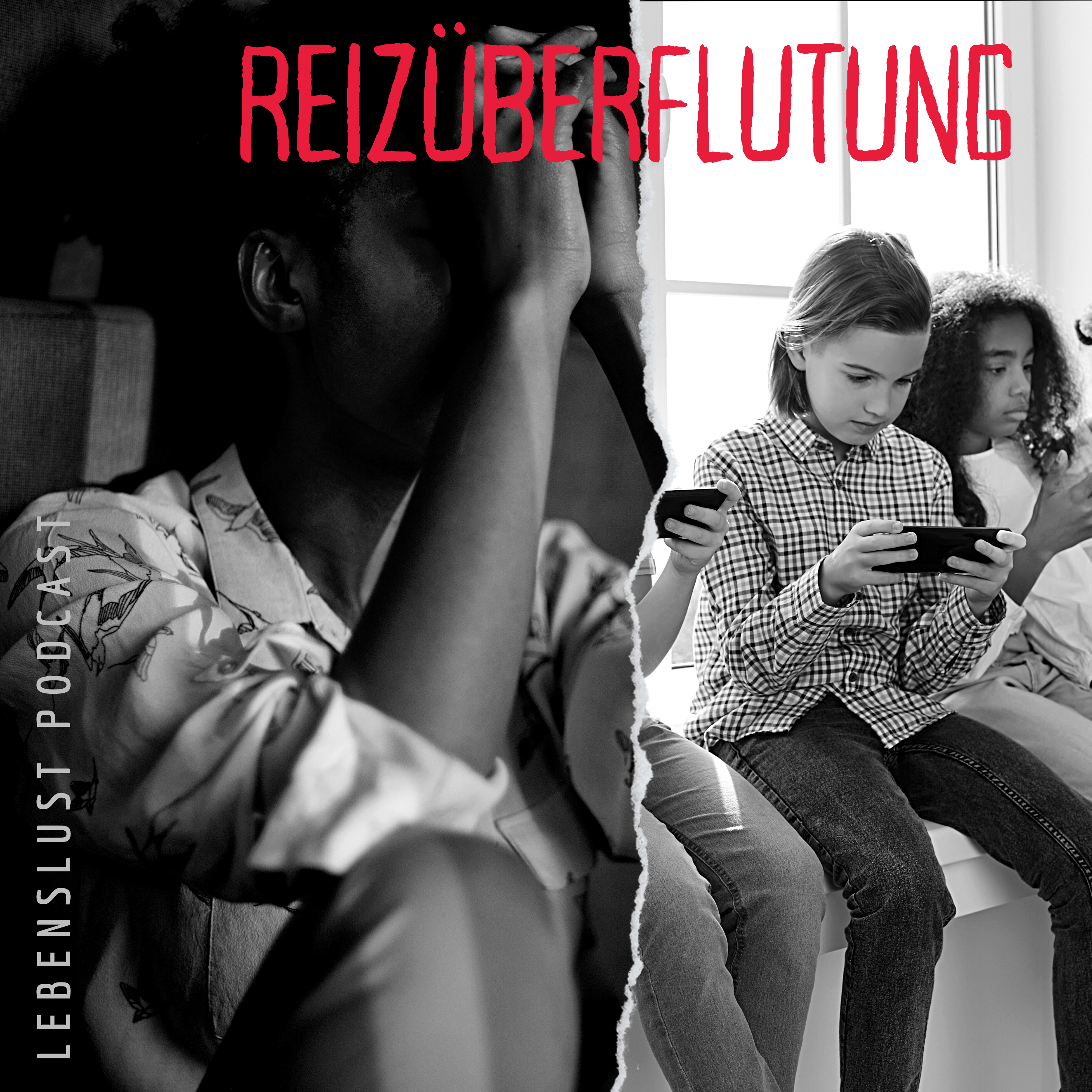 #88 - Reizüberflutung episode artwork
