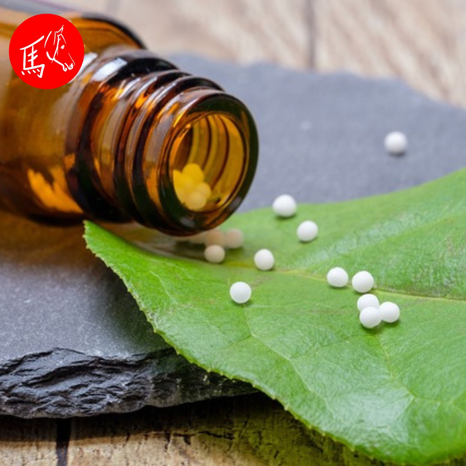 Infoabend "Grundlagen: Homöopathie für Pferde"