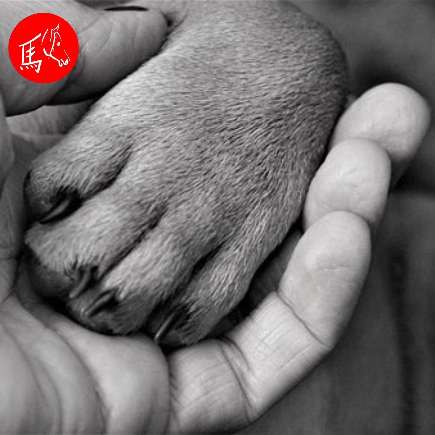 Infoabend "Basiskurs: Abschied in Würde"