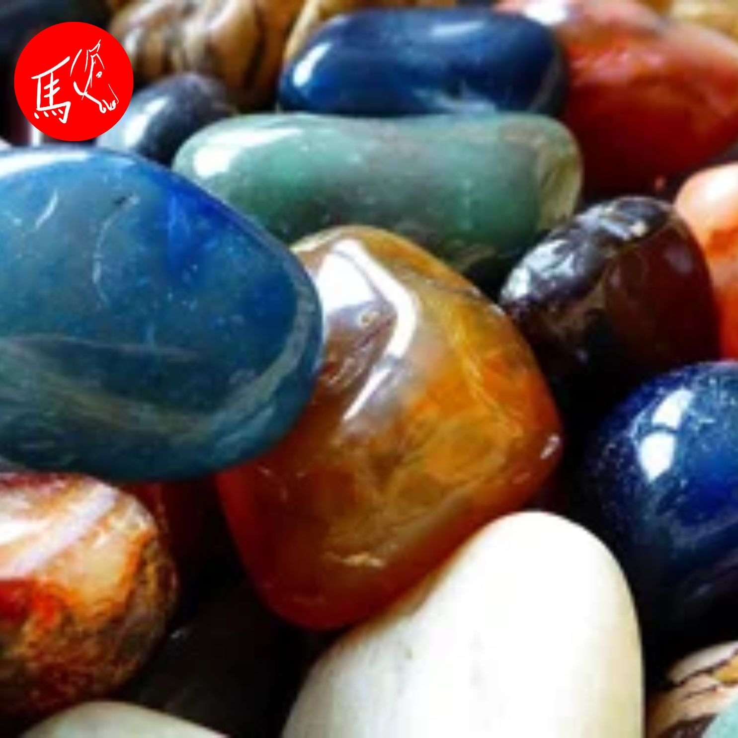 Infoabend "Edelsteine und Kristalle für Tiere"