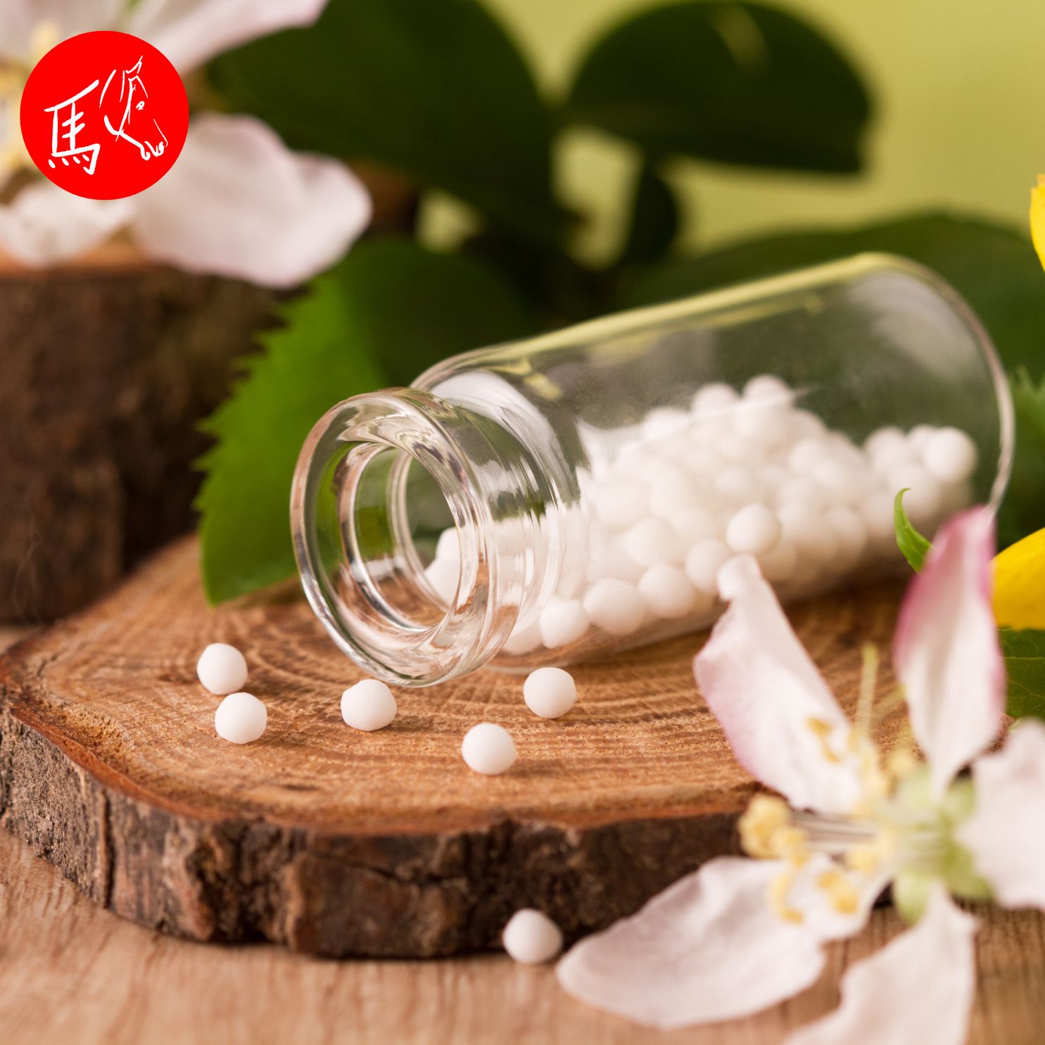 Infoabend "Begleitende Unterstützung für Tiere am Lebensende"