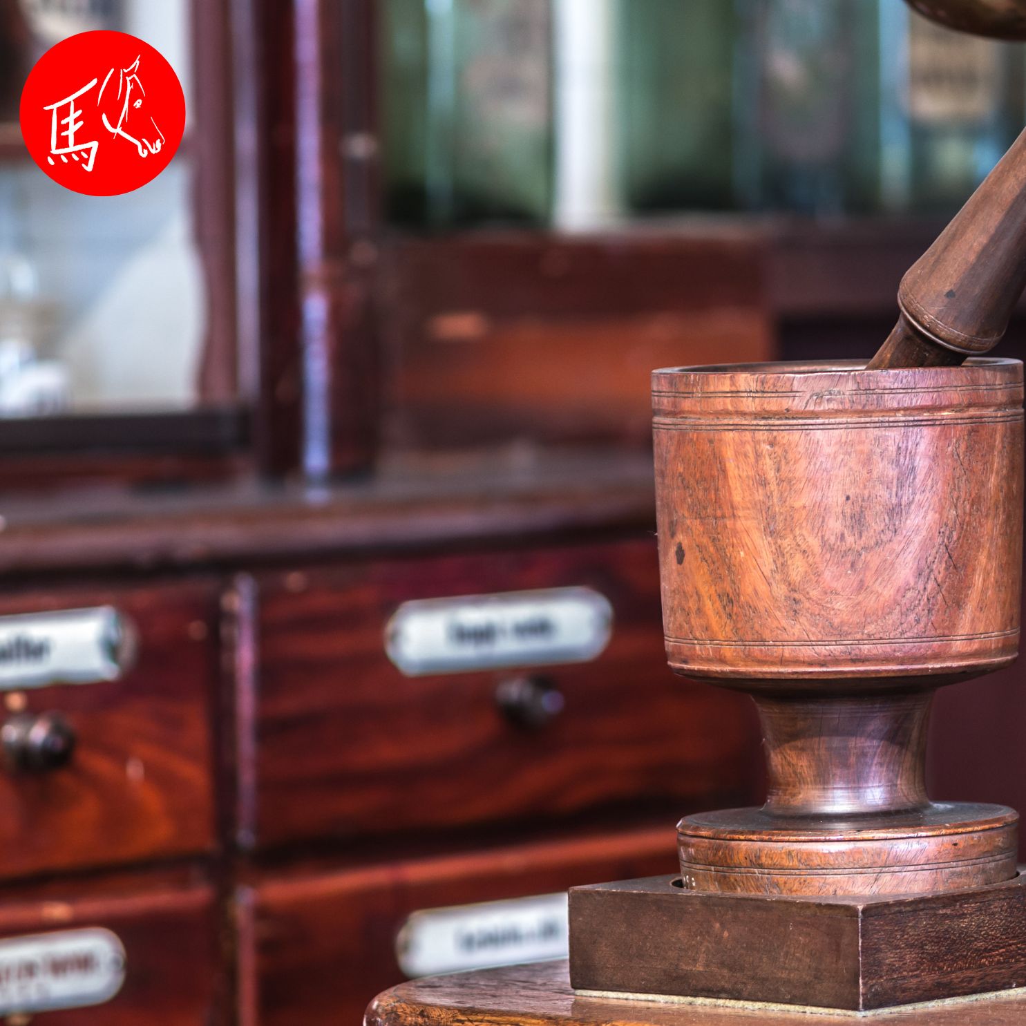 Der Tierheilpraktiker im Wandel der Zeit