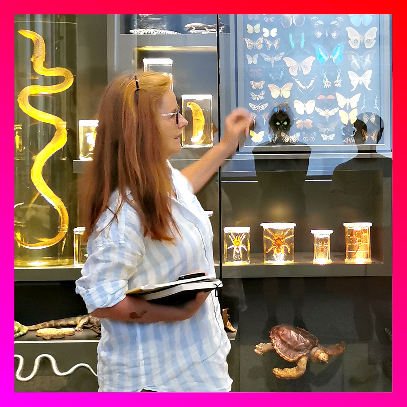 Alles ist Film – Der Podcast des DFF