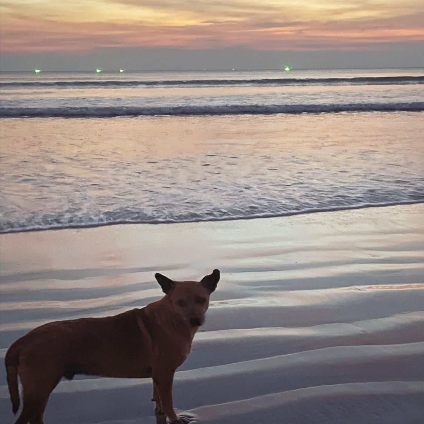 Entspannt einschlafen - Meditation & Achtsamkeit für die Nacht