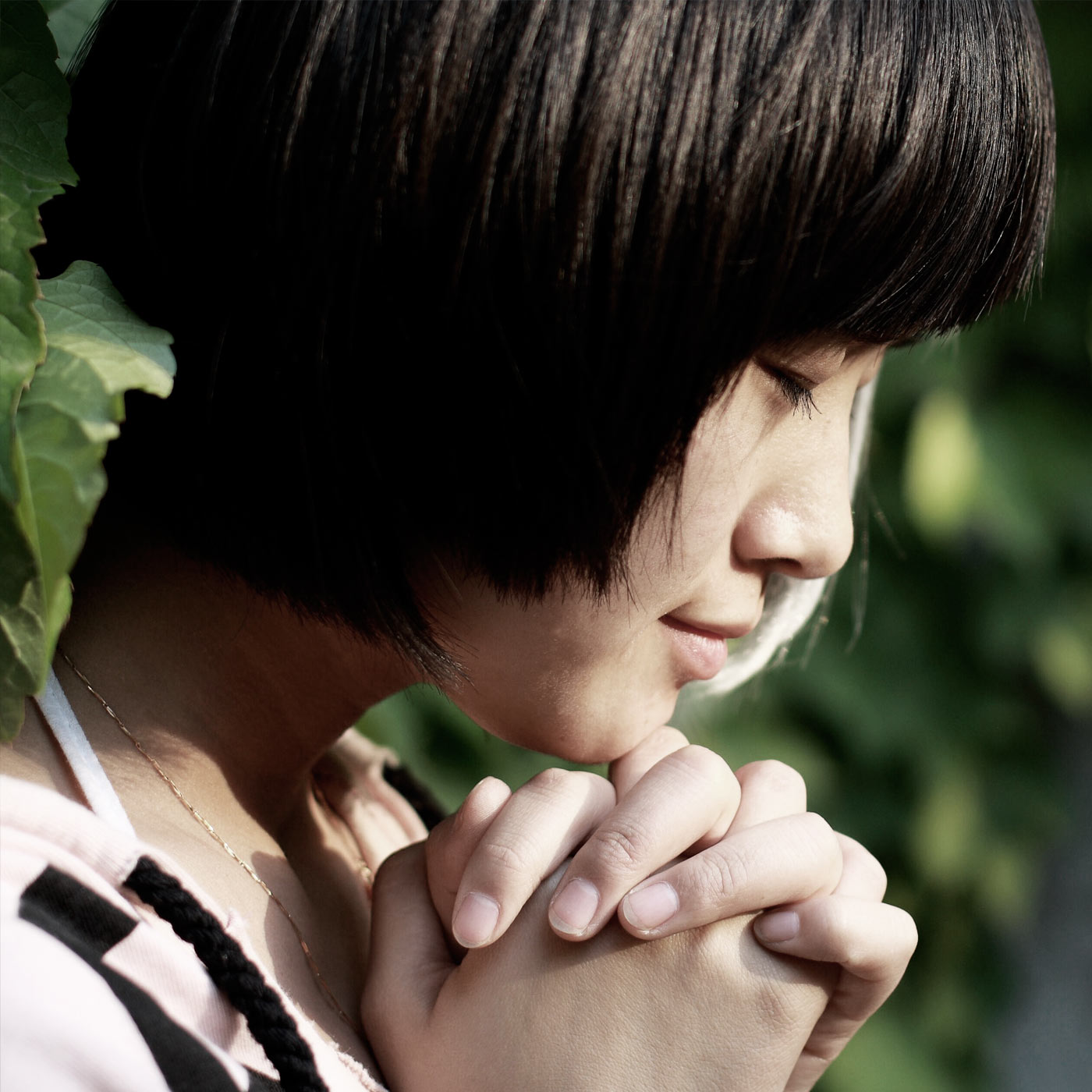 Antworten mit Bayless Conley