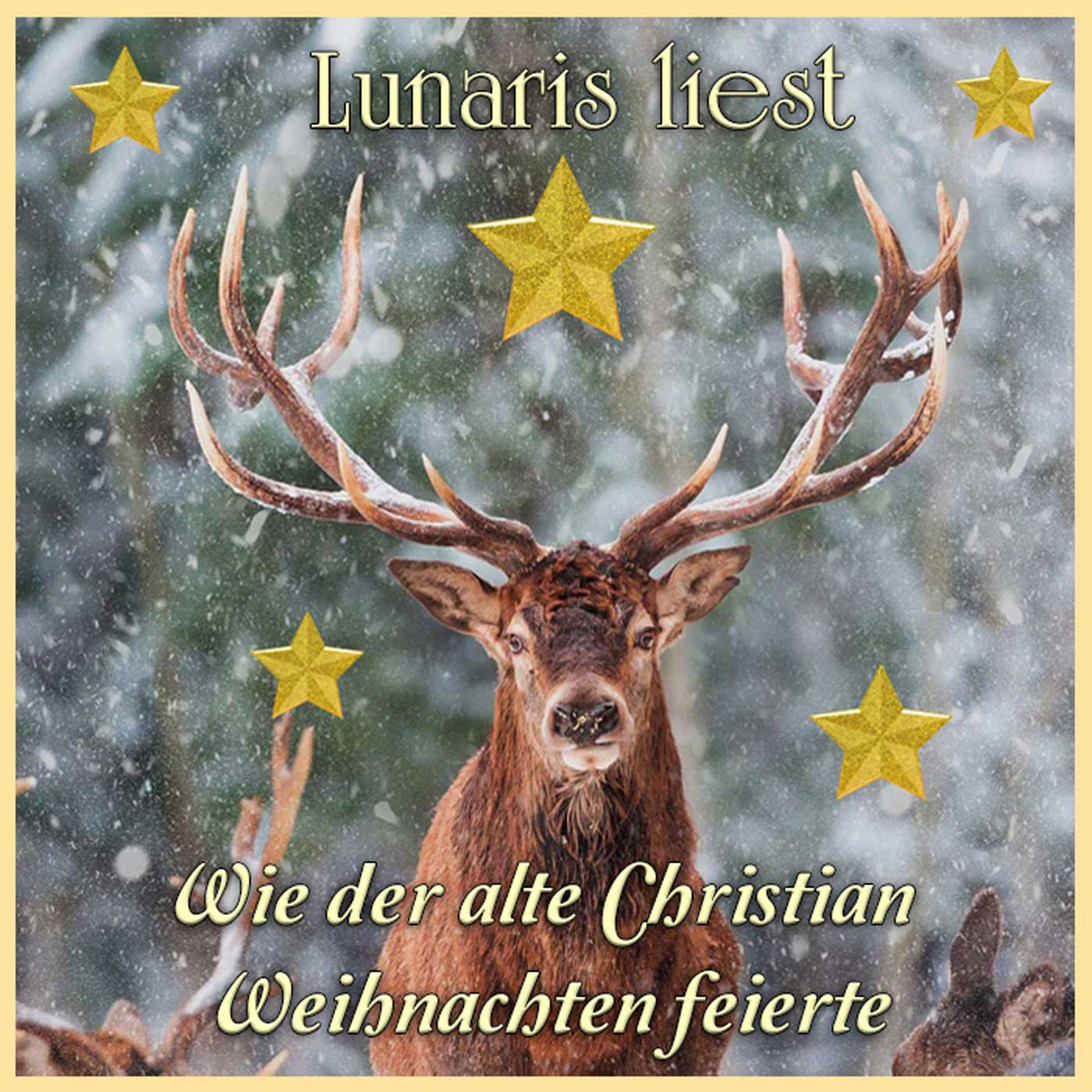 Wie der alte Christian Weihnachten feierte - Weihnachtsspecial | Lunaris liest episode artwork