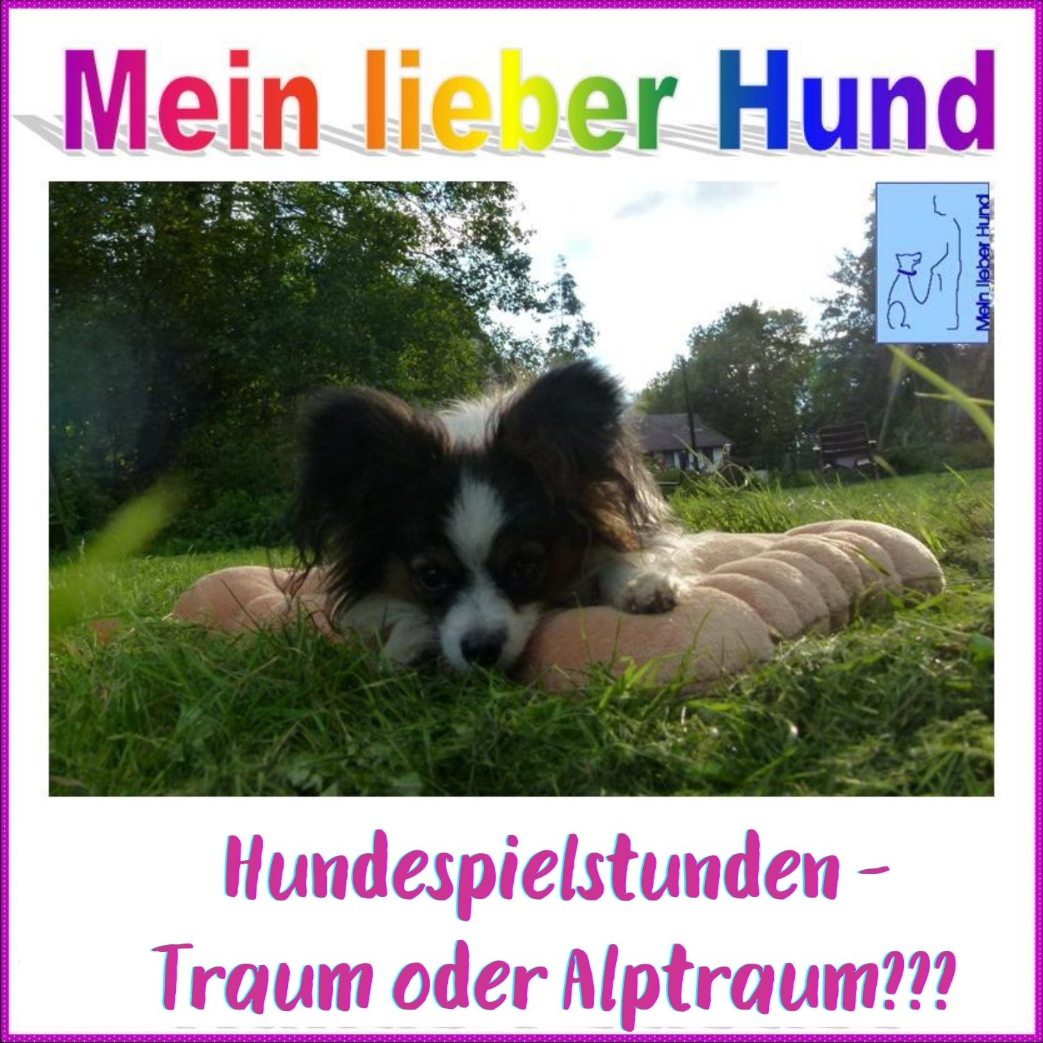71 - Hundespielstunden - Traum oder Alptraum
