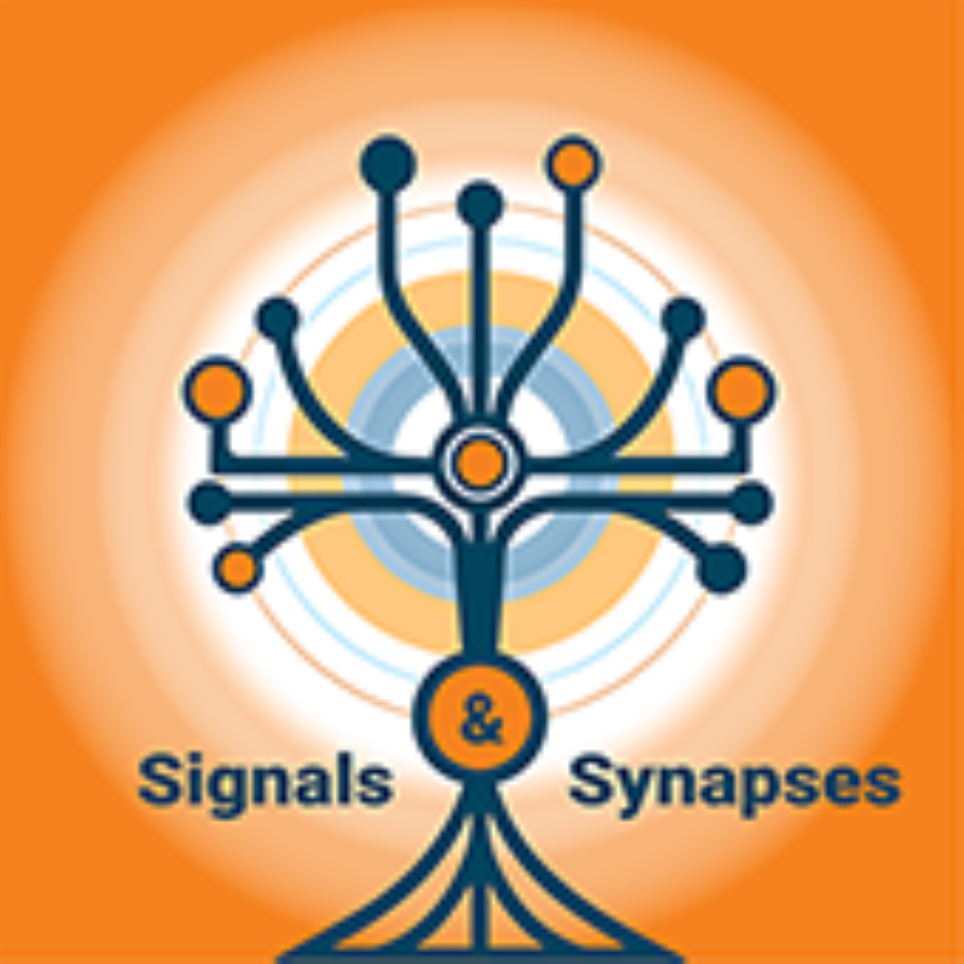 Signals &Synapses