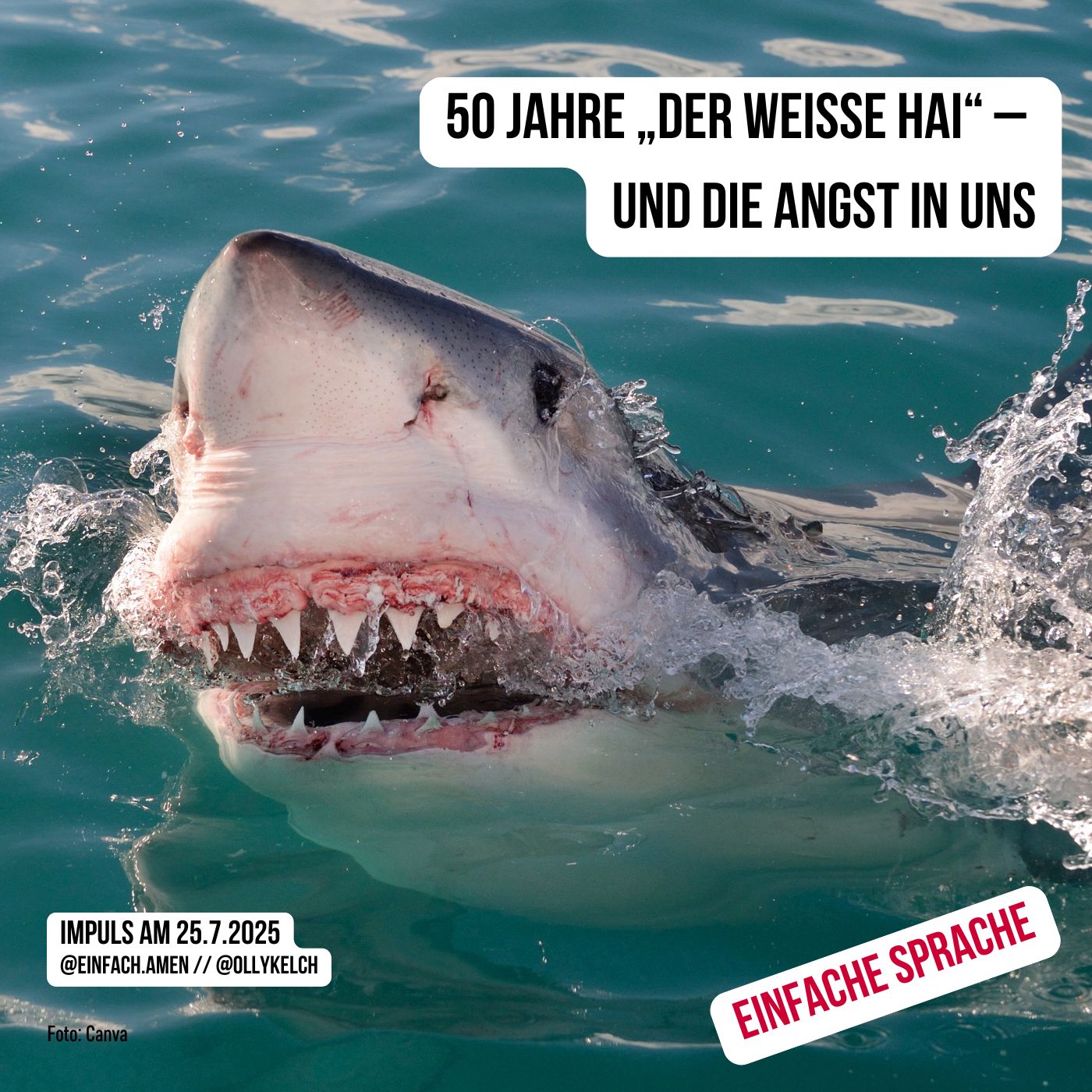 50 Jahre „Der weiße Hai“ – und die Angst in uns (25.7.2025) episode artwork