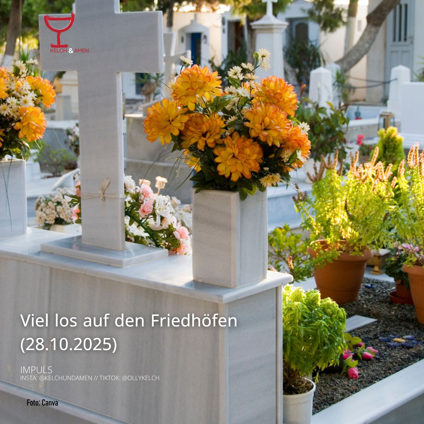 Viel los auf dem Friedhof (29.10.2025) episode artwork