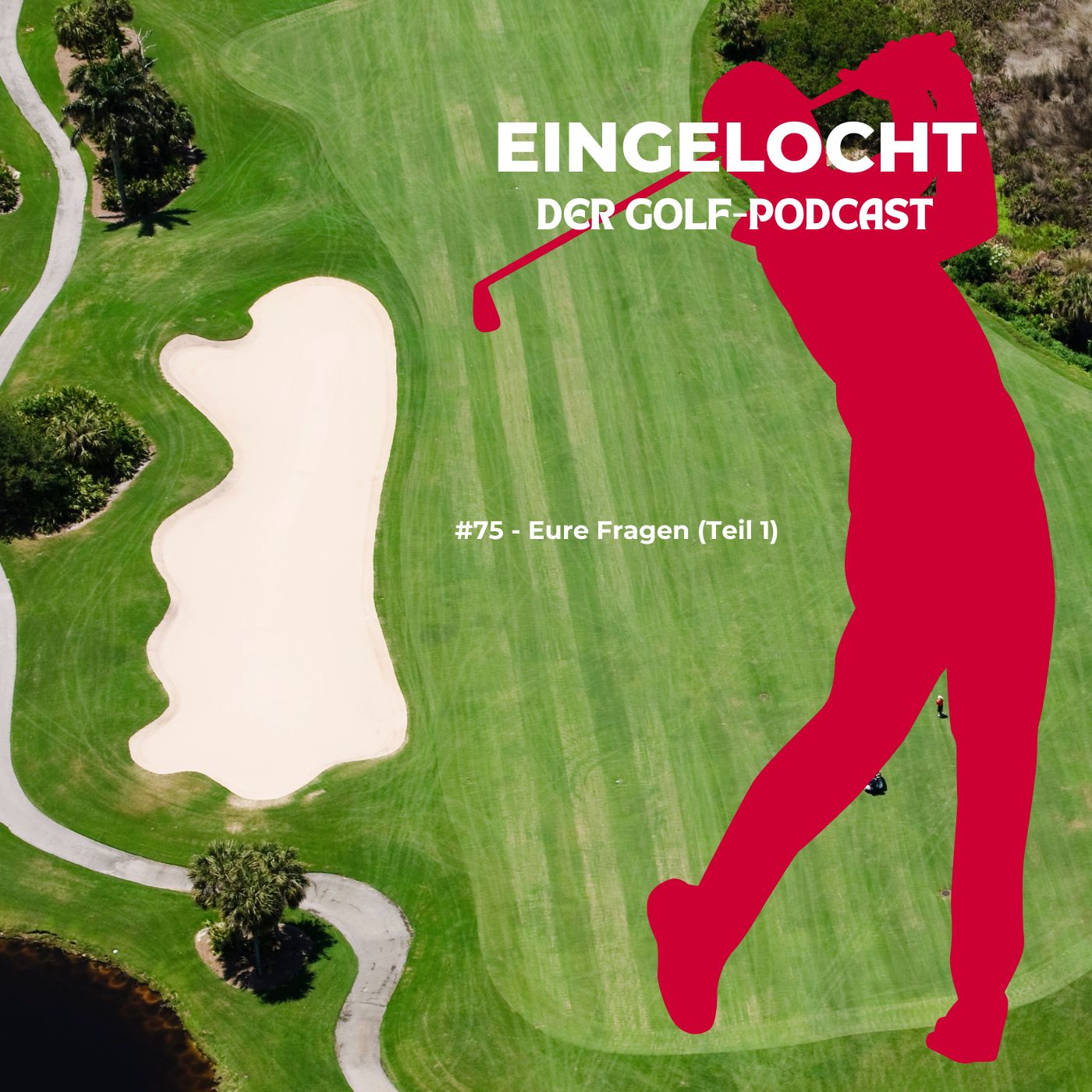 #75 - Eure Fragen, Teil 1 (7.11.2025) episode artwork