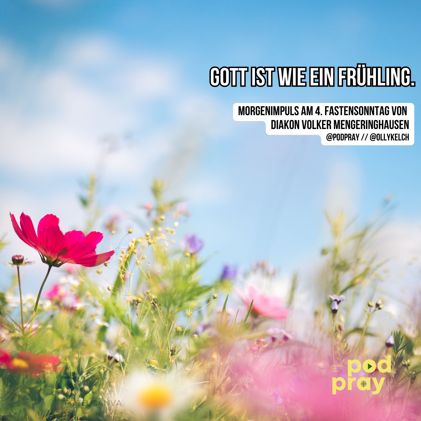 Gott schenkt der Natur das neue Erwachen. Impuls am 4. Fastensonntag (Laetare) episode artwork