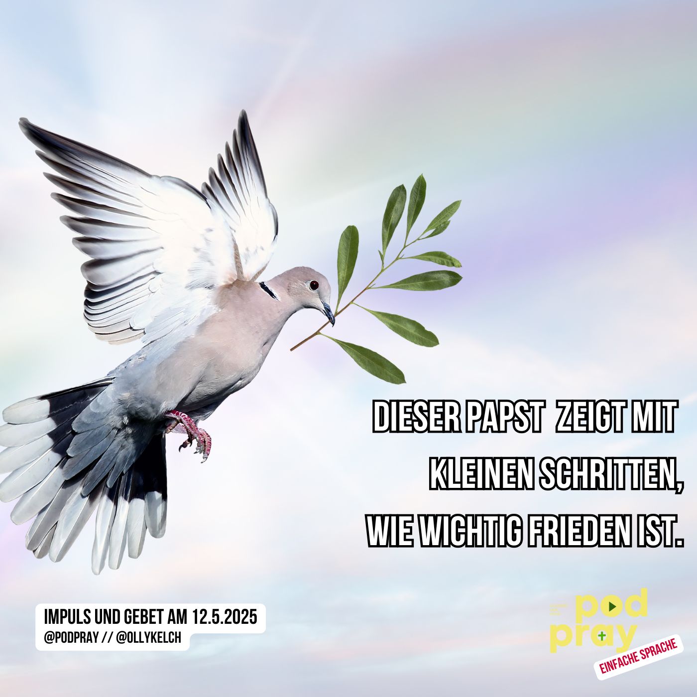 Kleine Schritte zum Frieden (12.5.2025) episode artwork