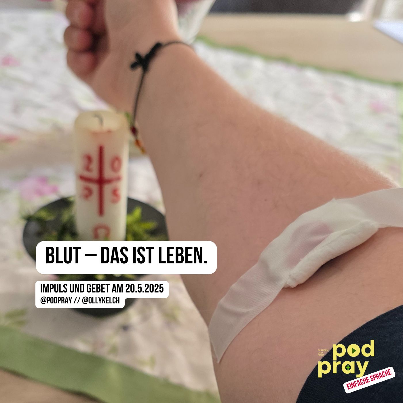 Blut – das Leben in mir. (20.5.2025) episode artwork