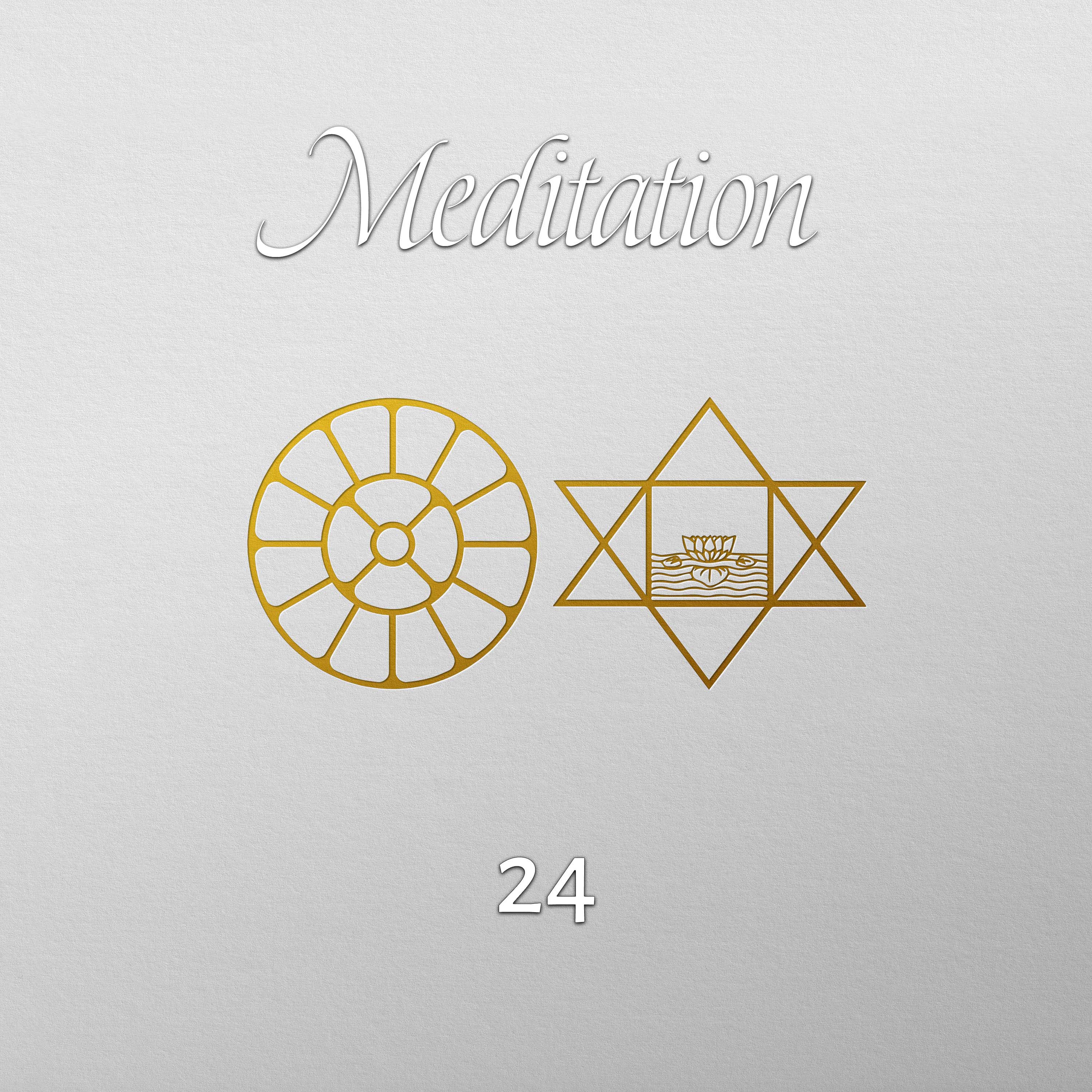 24. Ein Held fürchtet nichts episode artwork
