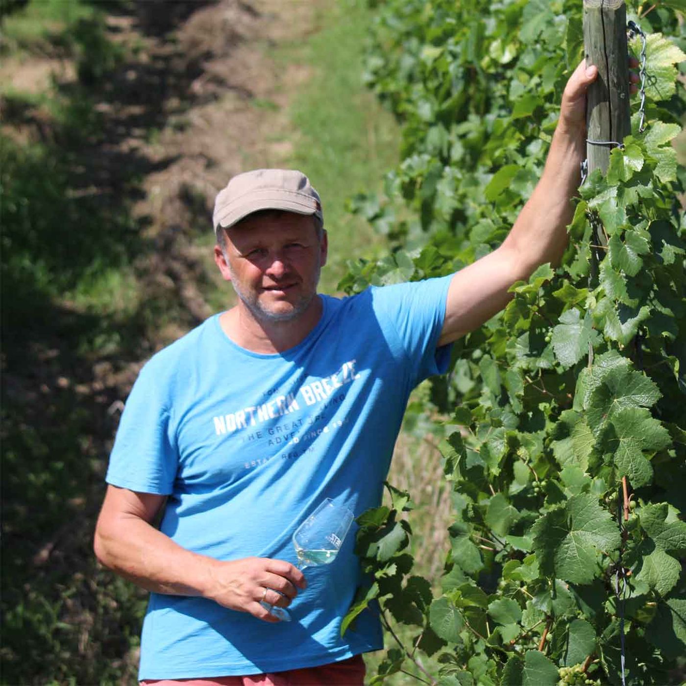 Bio, Wein, Nachhaltigkeit und das Klima – FoodHub München zu Besuch bei Bio-Winzer Wolfgang Betz episode artwork
