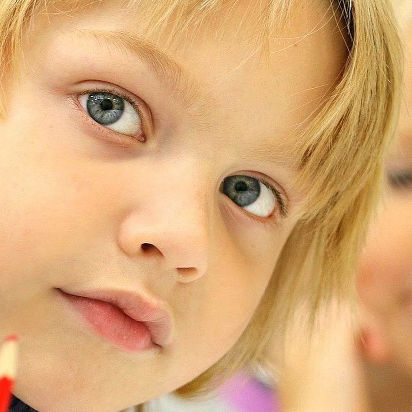 Haus am Dom - Der Podcast