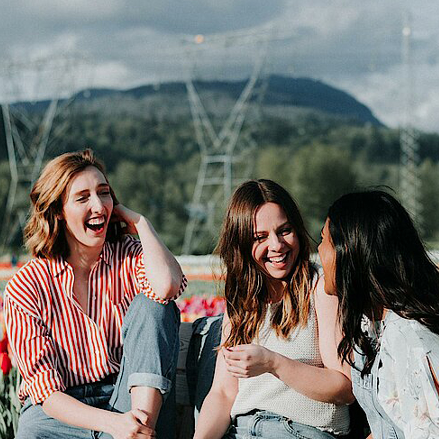 Haus am Dom - Der Podcast