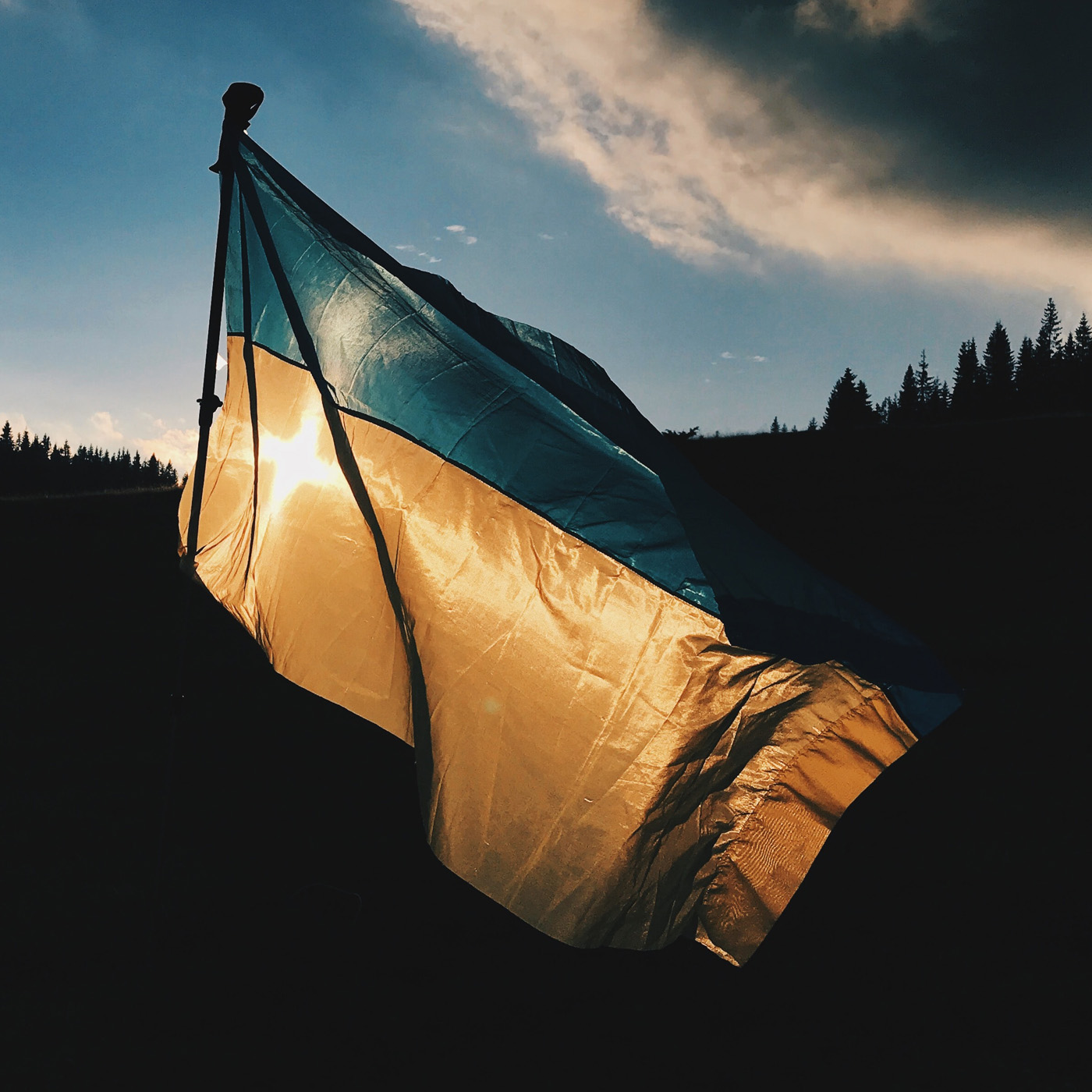 Haus am Dom - Der Podcast