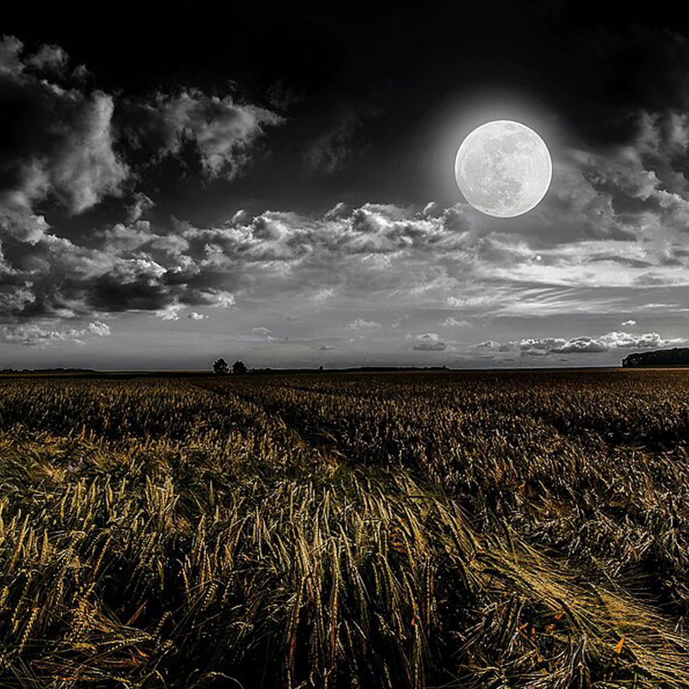 Haus am Dom - Der Podcast