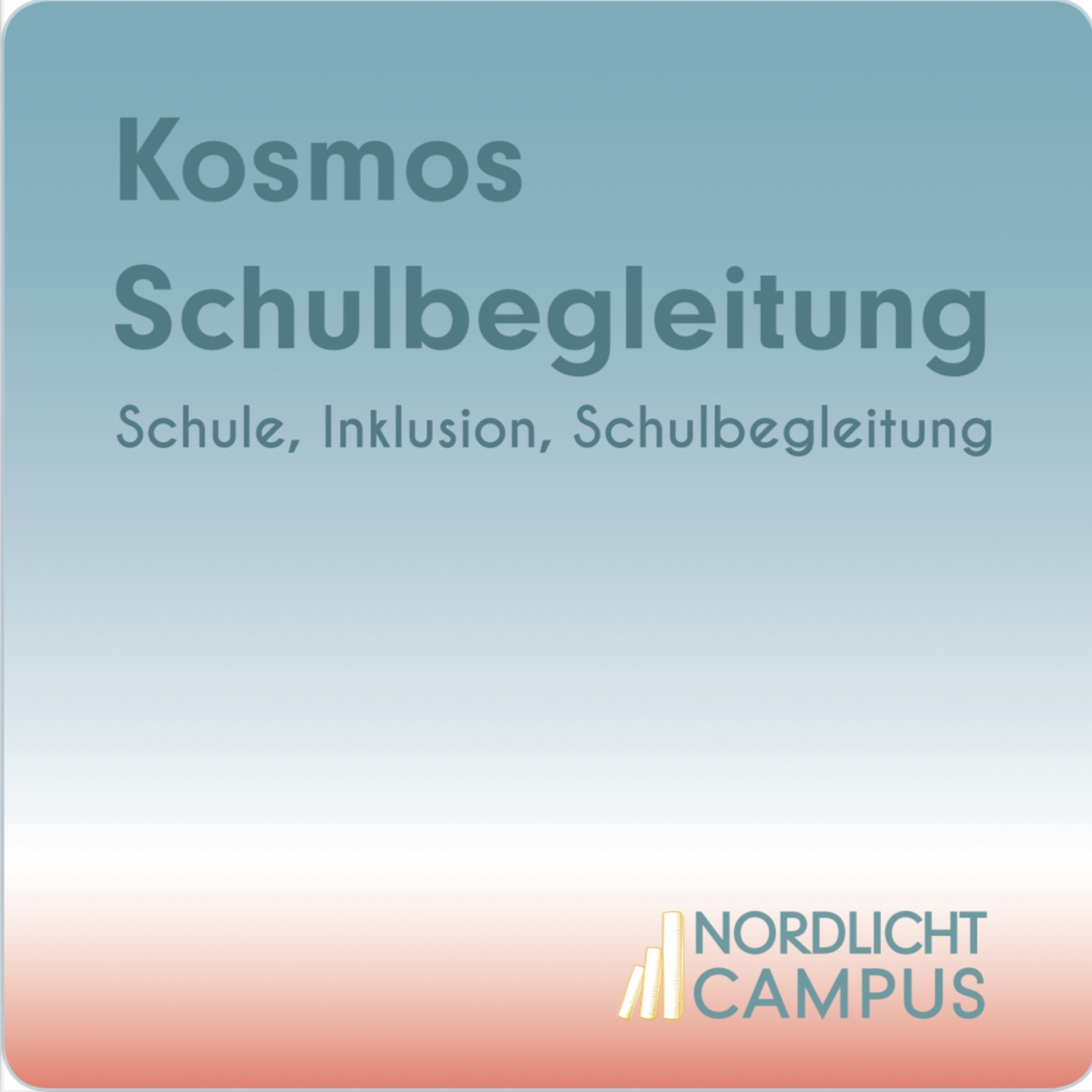 S2E03 Dr. Mathias Gintzel: Wann ist eine Schulbegleitung eine Fachkraft? episode artwork