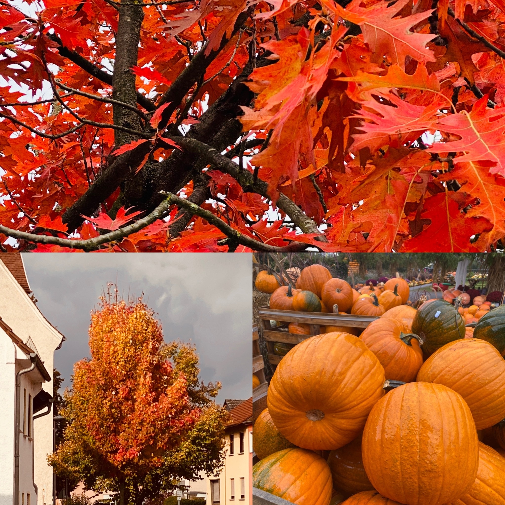 #64 Wie Du Farbe in Dein Leben bringst