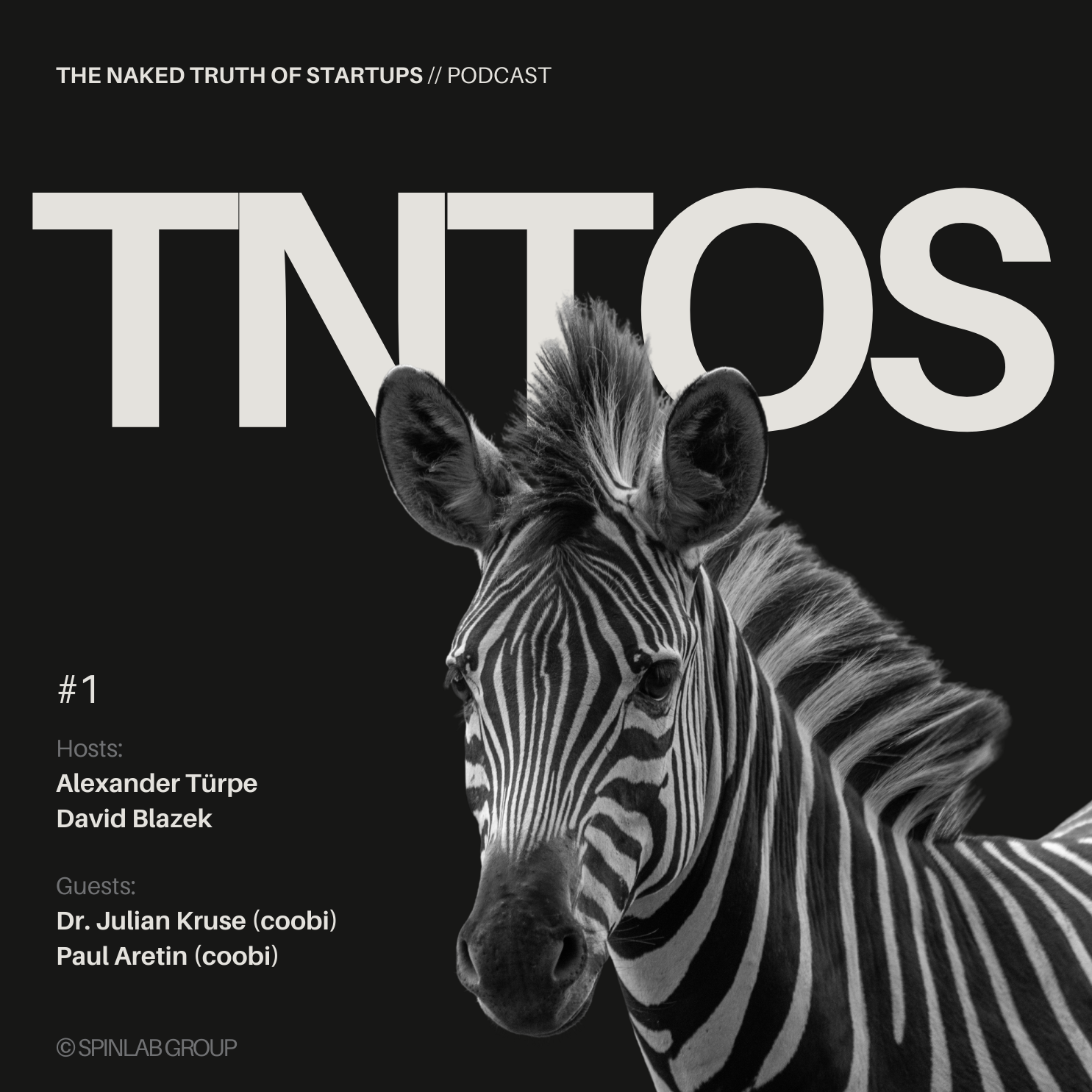 The Naked Truth of Startup - TNTOS