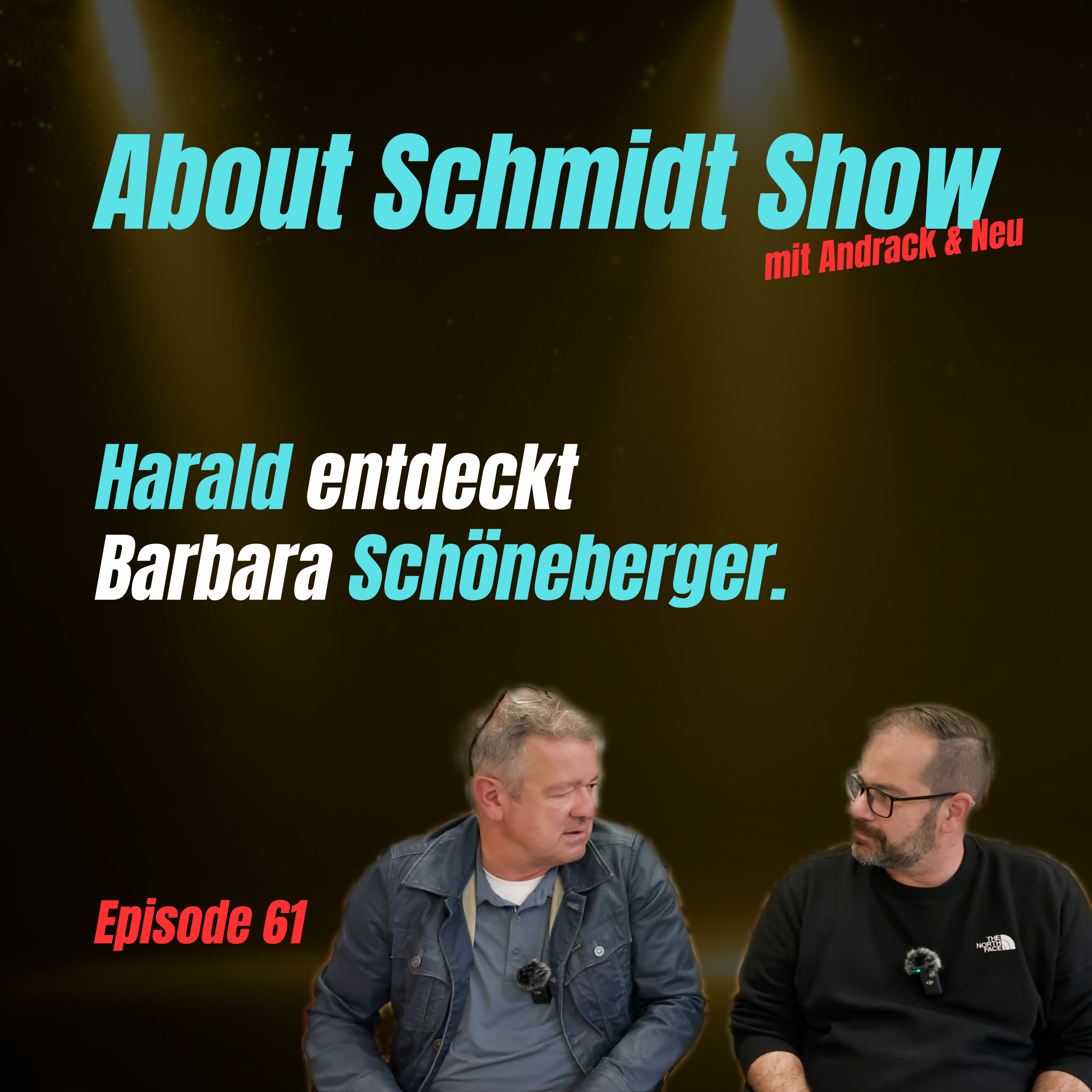 About Schmidt Show
