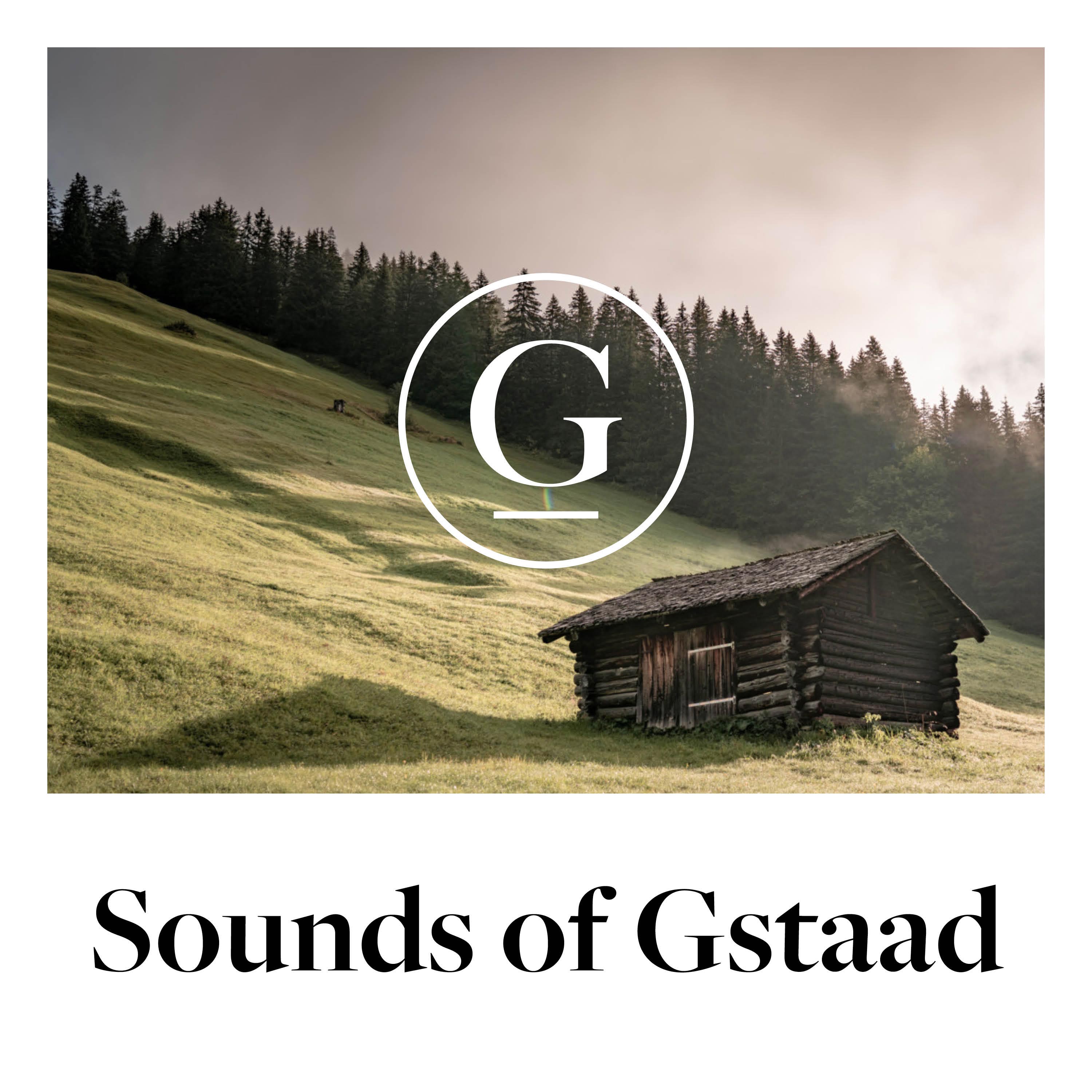 Waldstimmen – Vögel, Insekten und das Rauschen des Windes episode artwork