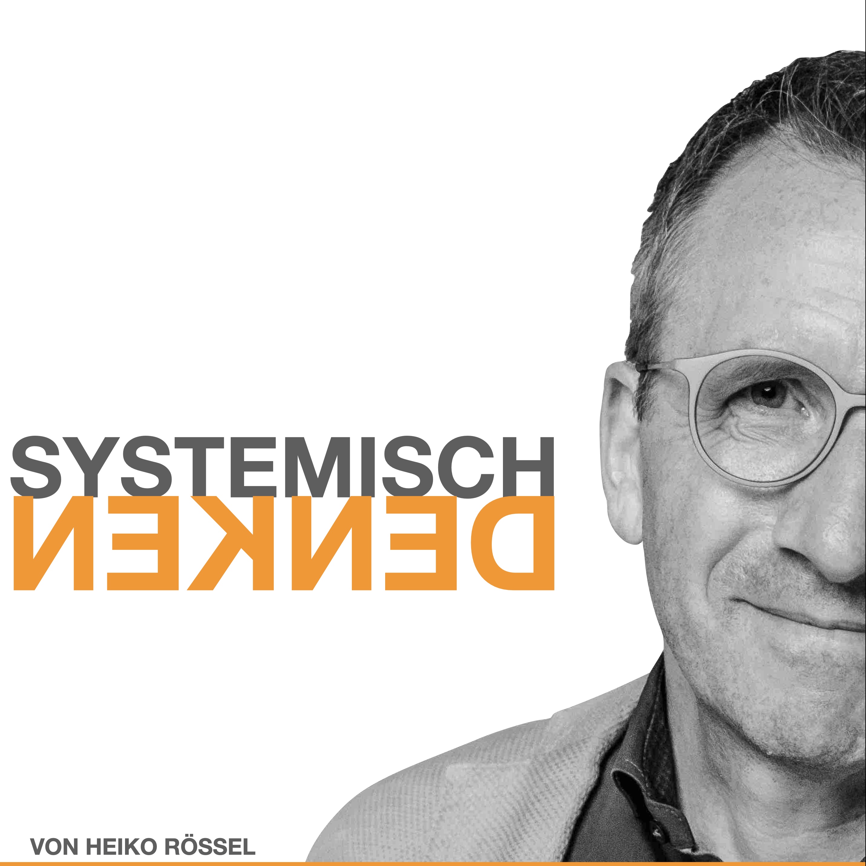 Systemisch Denken - Systemtheorie, Konstruktivismus und Soziale Systeme treffen die Wirtschaft, Systemische Theorie und Praxis für Business und Organisationen