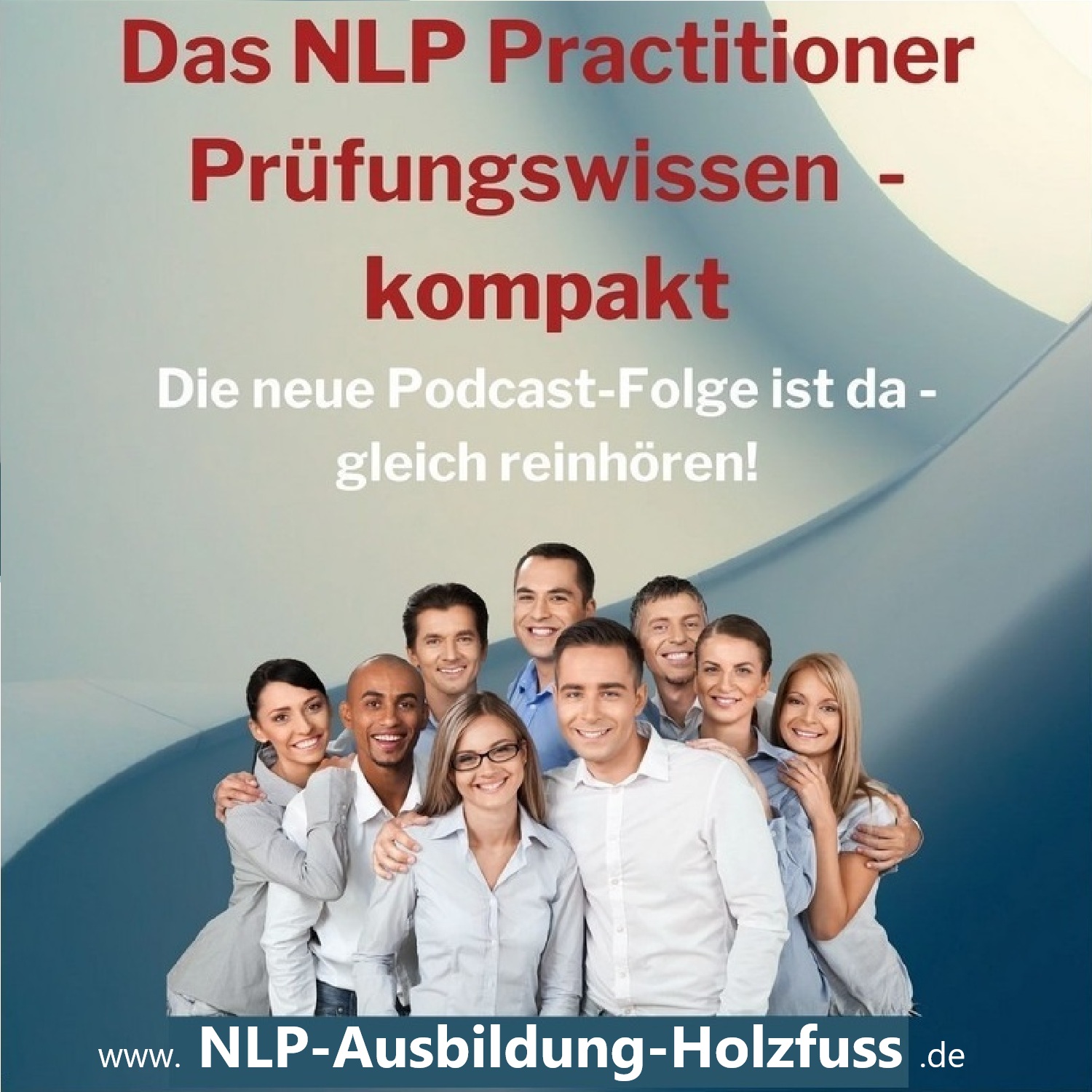 Das NLP Practitioner Prüfungswissen kompakt