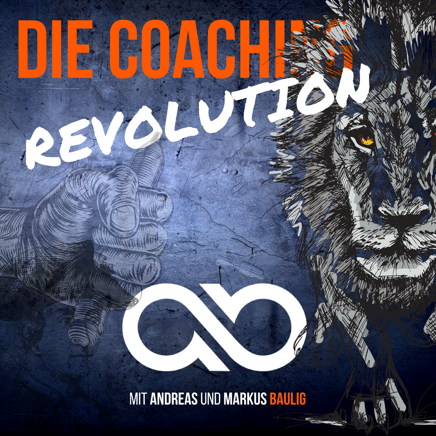 DIE COACHING-REVOLUTION mit Andreas Baulig & Markus Baulig: Online-Marketing | Business | Coaching | Consulting | Motivation