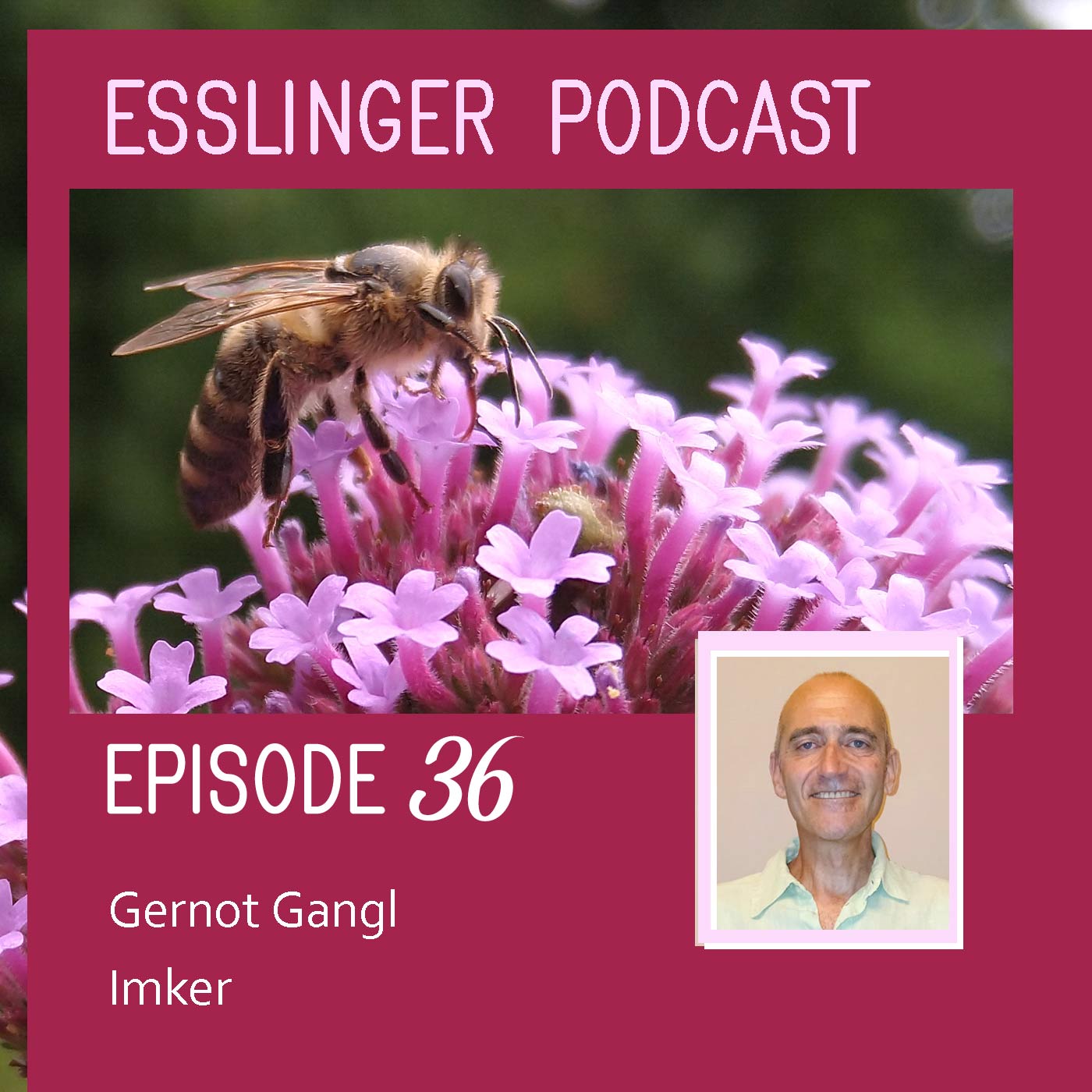 Episode Nr. 36 – Imker - Gernot Gangl