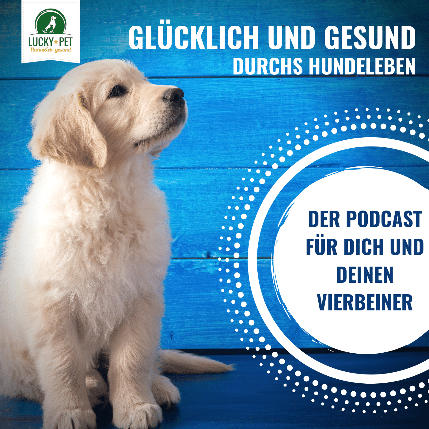 Glücklich und gesund durchs Hundeleben
