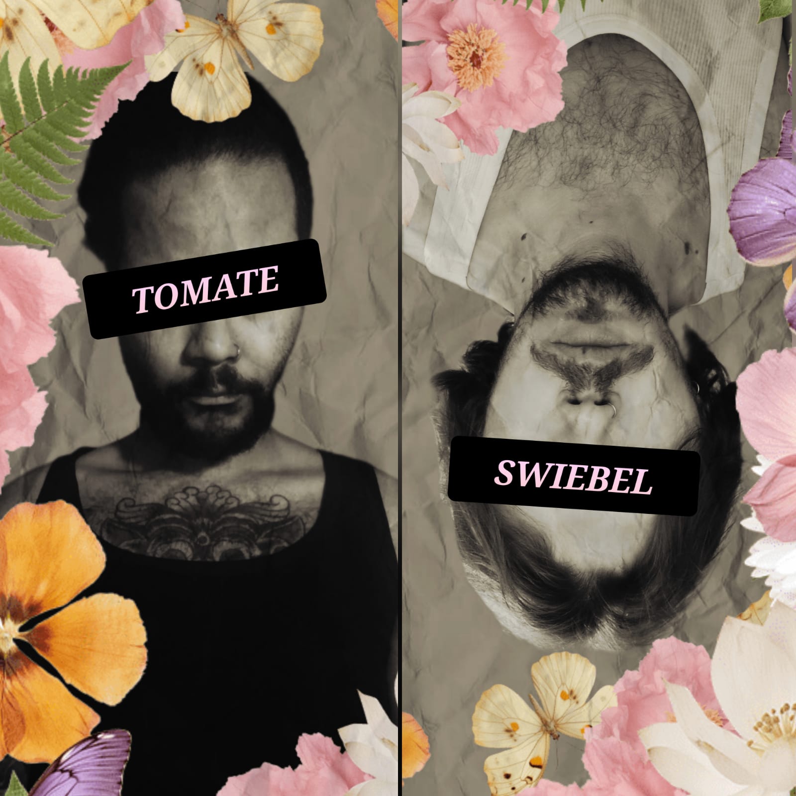 Tomate Swiebel