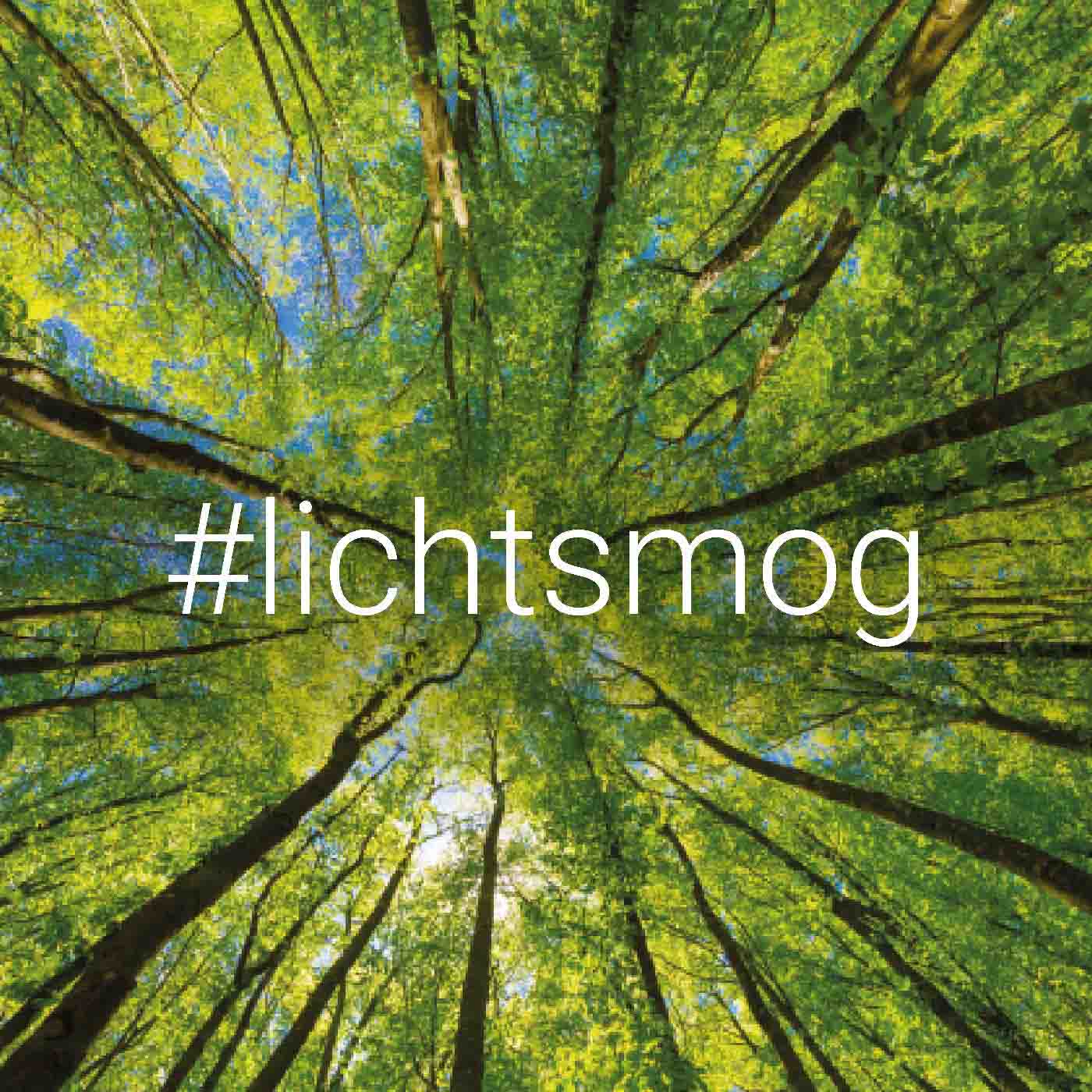 Warum Lichtsmog so schlecht ist