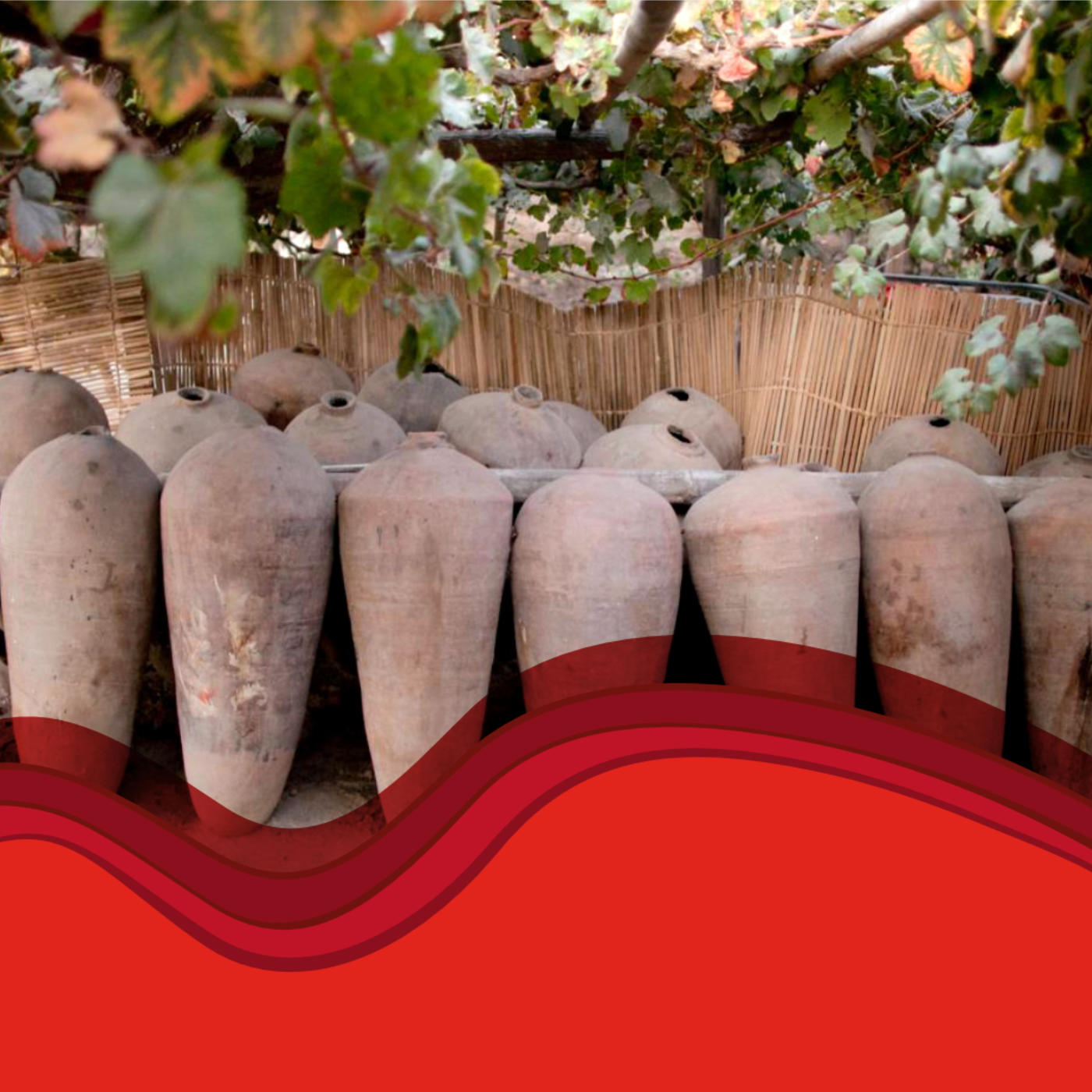 #20 Pisco, das Nationalgetränk Perus!