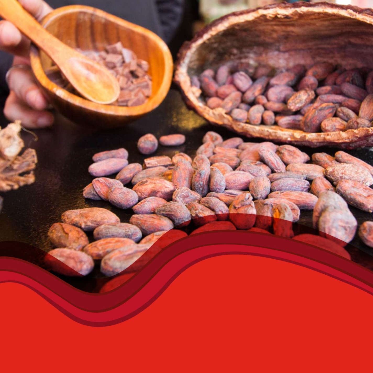 #10 Kakao & Schokolade