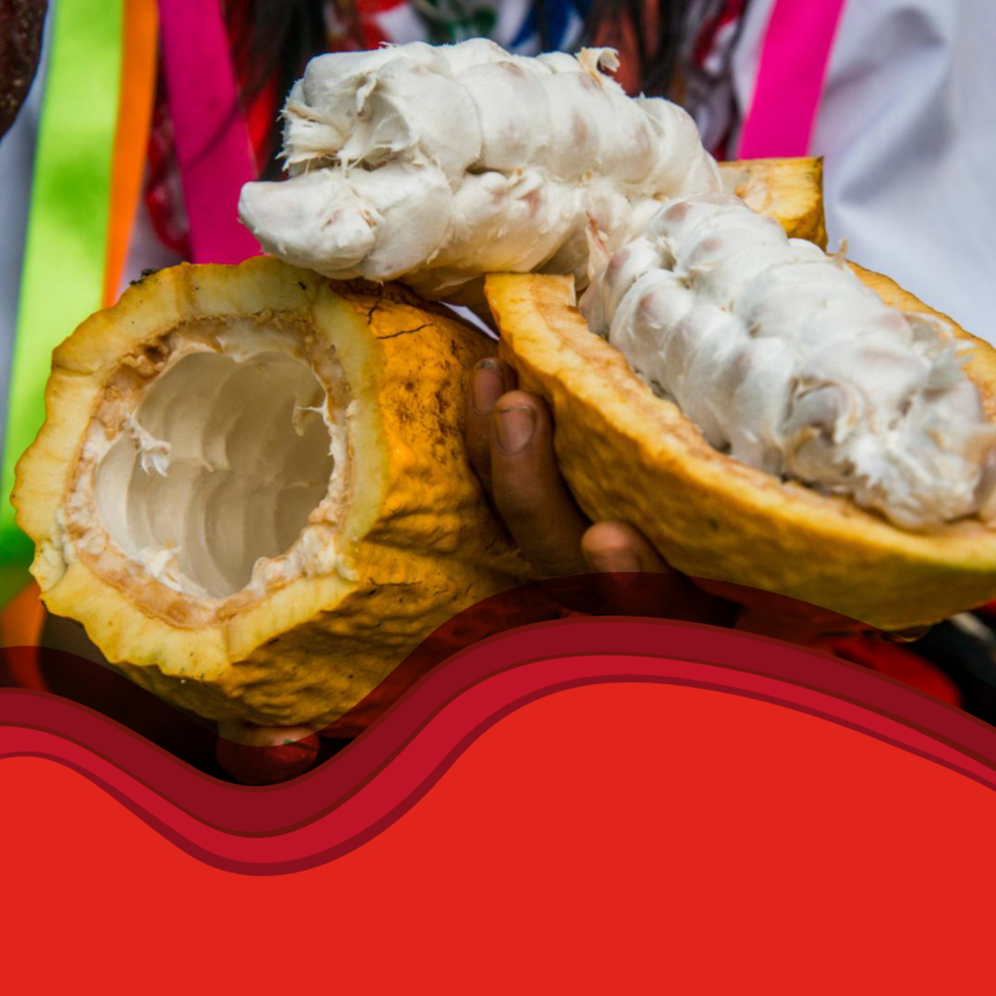 #23 Peruanische Schokolade der Zukunft