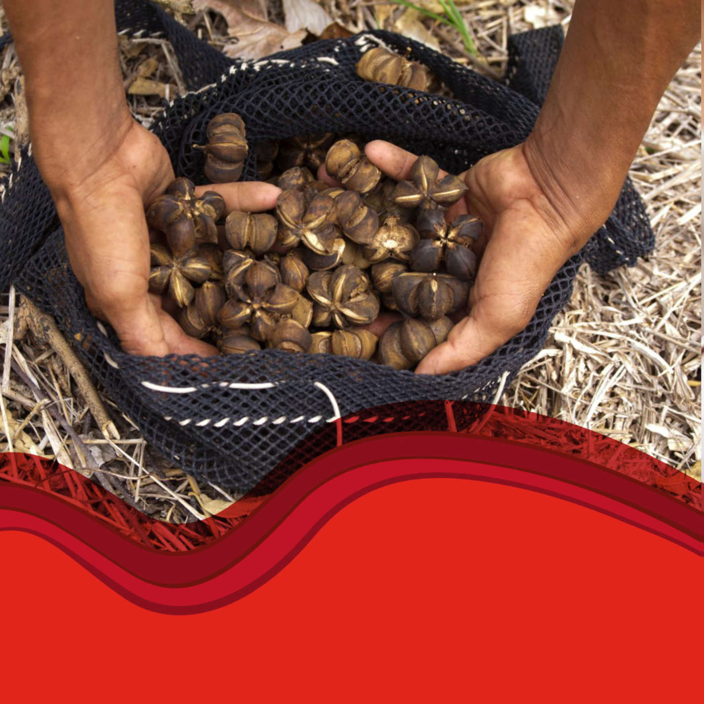 #8 Nachhaltigkeit & Transparenz in der Naturkosmetik