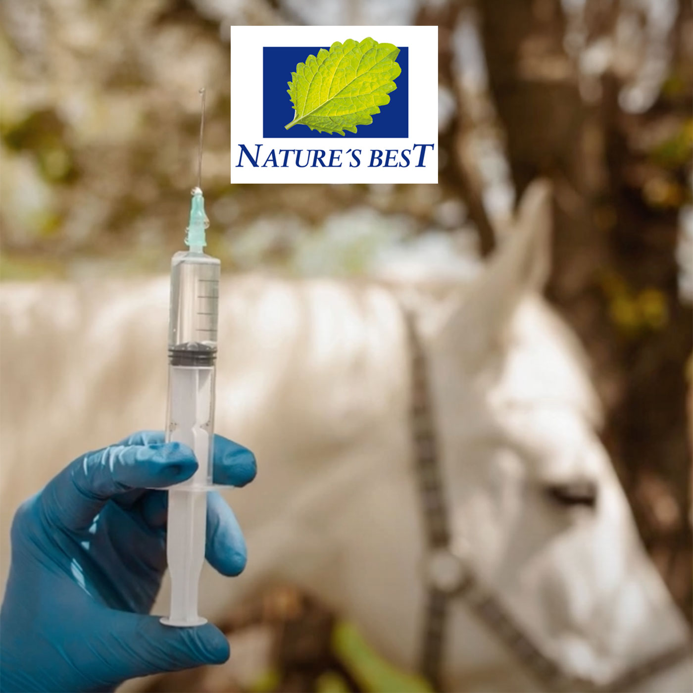 1# Naturheilkundliche Begleitung bei Impfungen