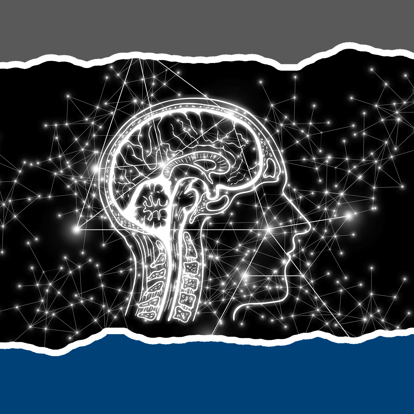 Künstliche Intelligenz und die Kuh episode artwork