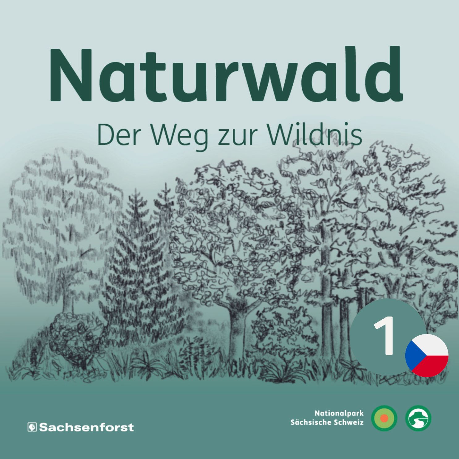 #01 Oblíbené Jídlo