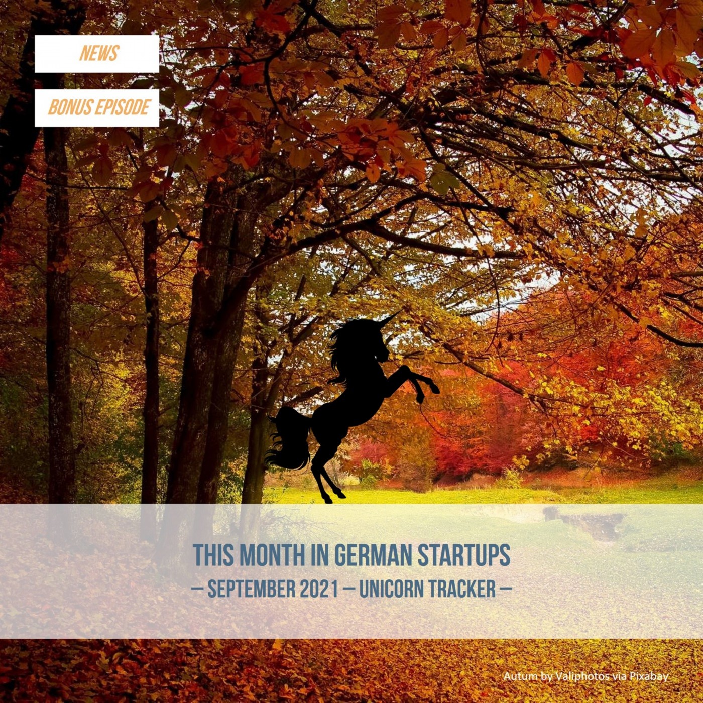 This Month in German Startups - September 2021 Unicorn Tracker (Bonus)