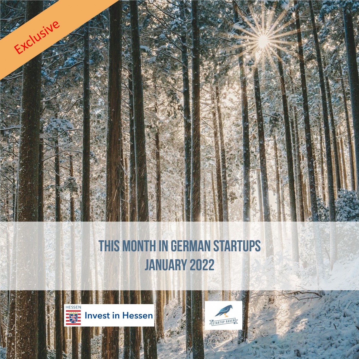 FinTech Germany – Innovation, Banking & Venture Capital by Startuprad.io™