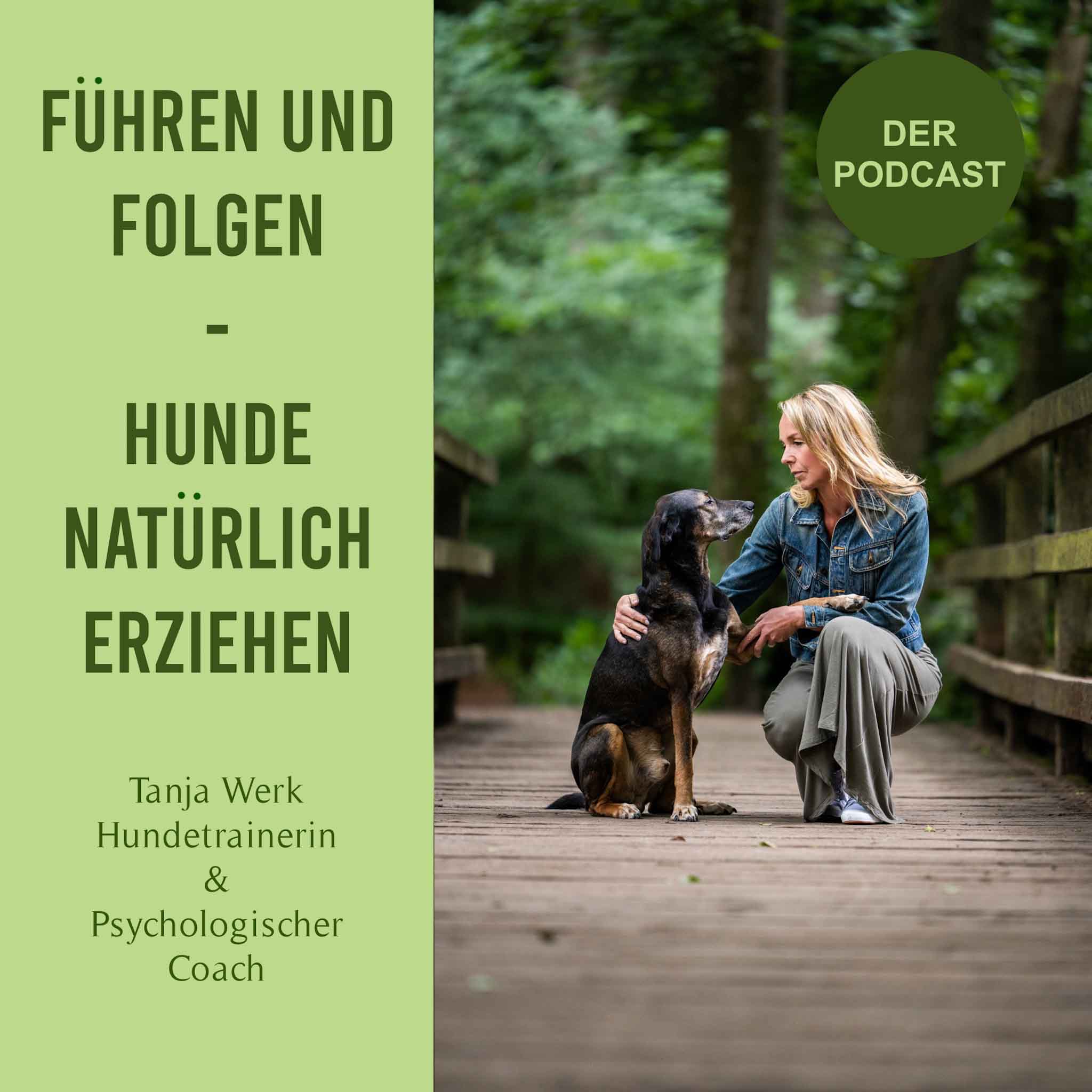 Erziehung-was ist das eigentlich? Erziehung-was ist das eigentlich?