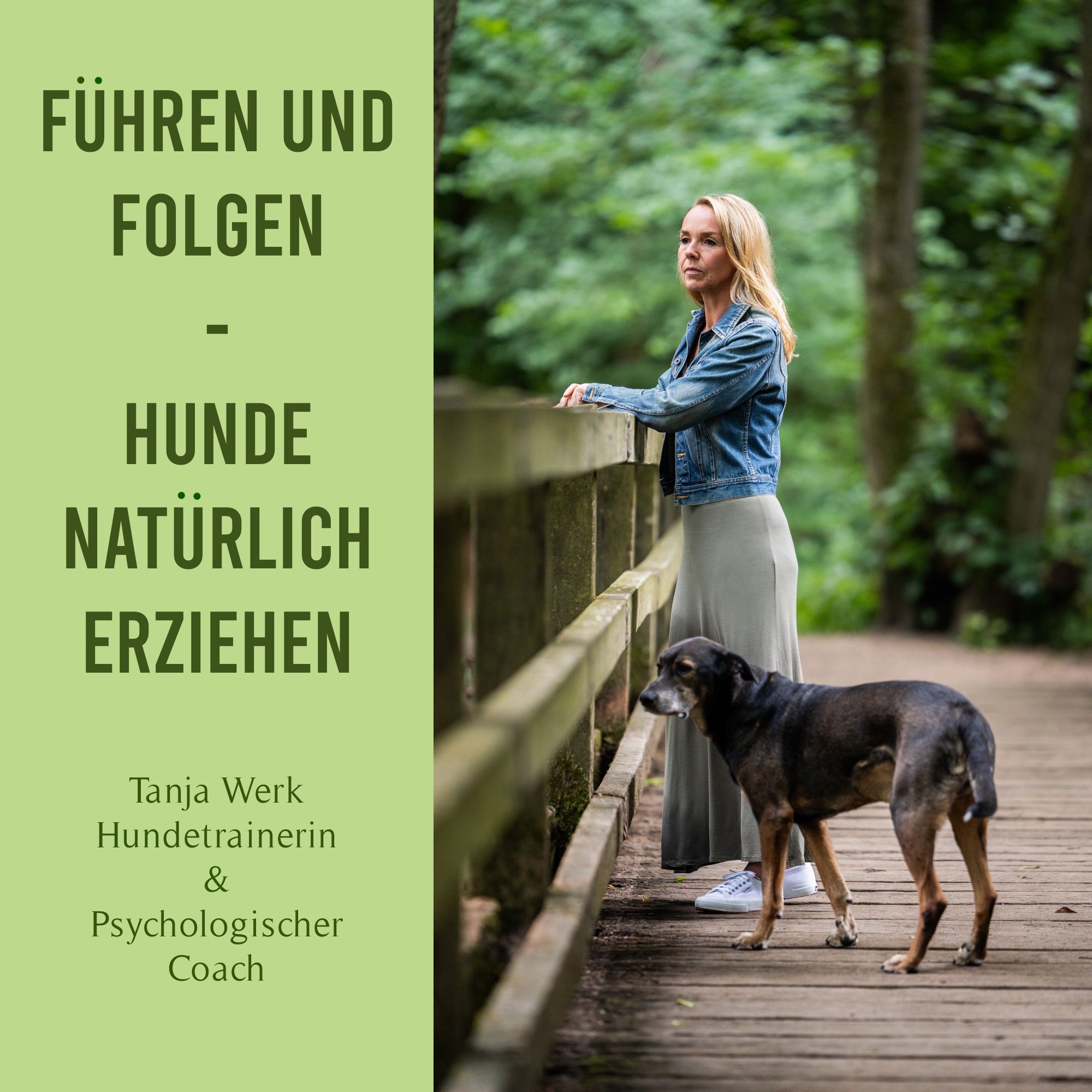 Führen und Folgen-Hunde natürlich erziehen