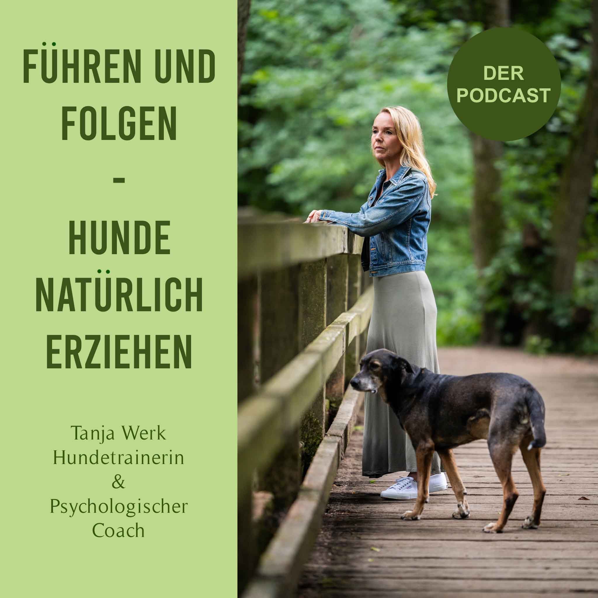 Stress und Hund! Ja und!?